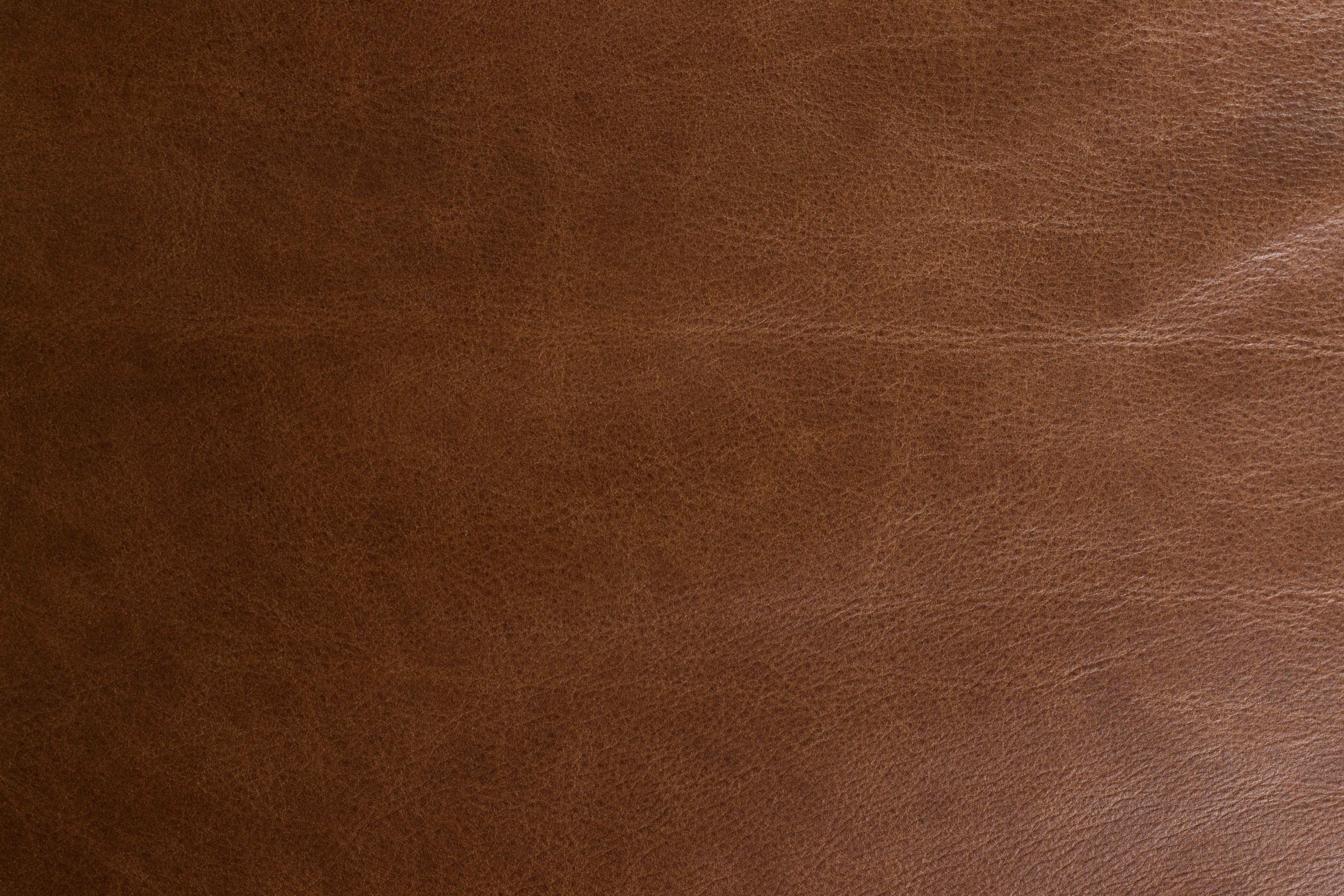 Sofa DOUGLAS schokoladenbraunes Leder