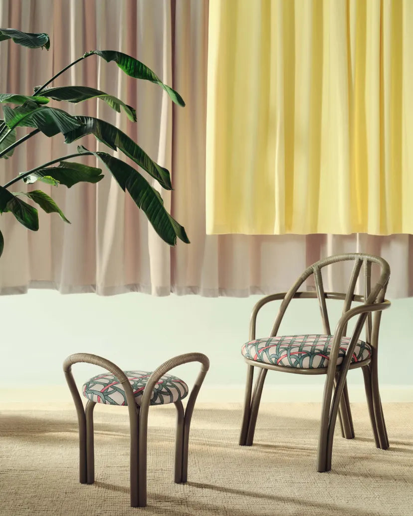 BISTRA upholstered chair with an olive rattan base