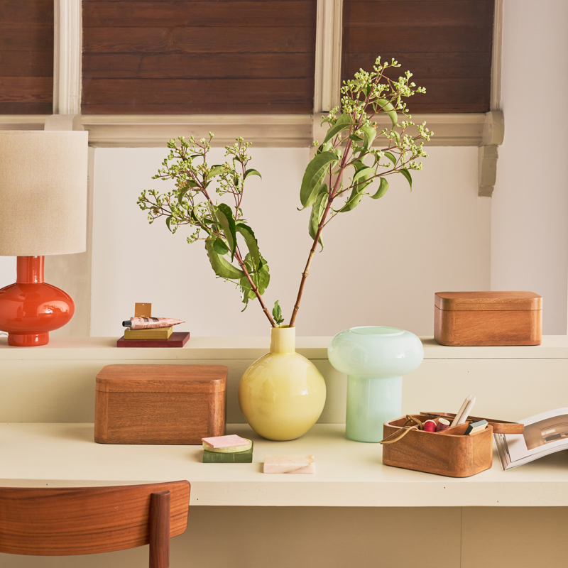 Aufbewahrungsbox TSHA aus Mangoholz