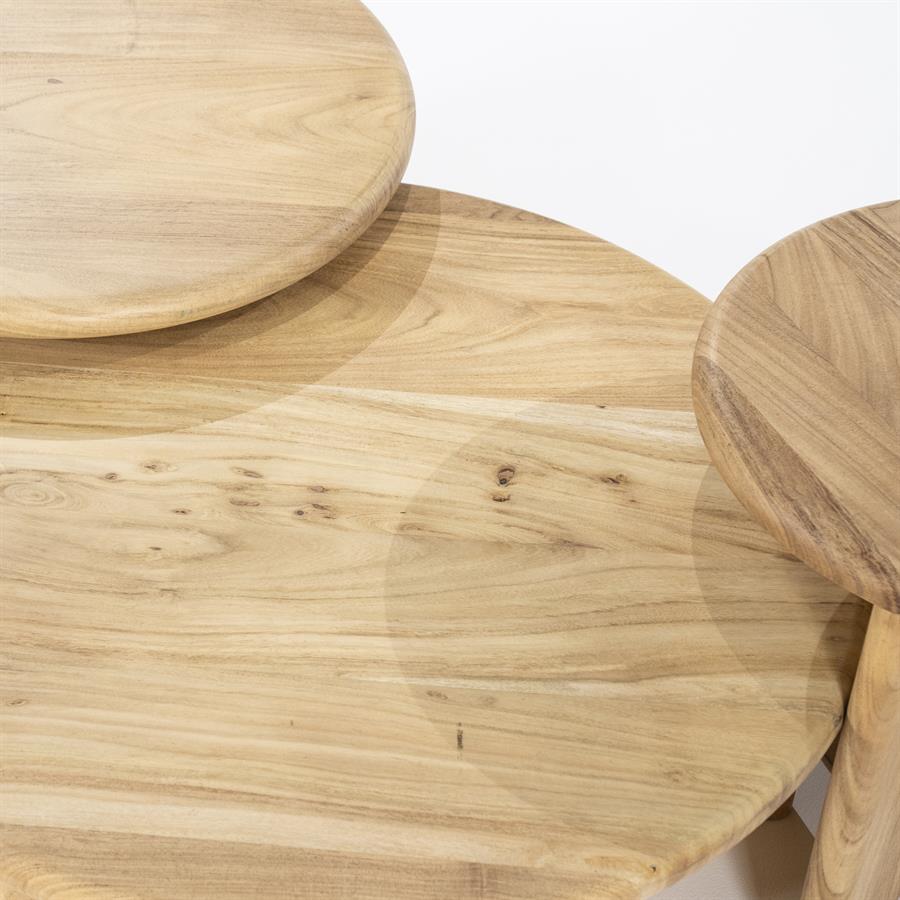 Couchtisch LEOTI aus Mangoholz