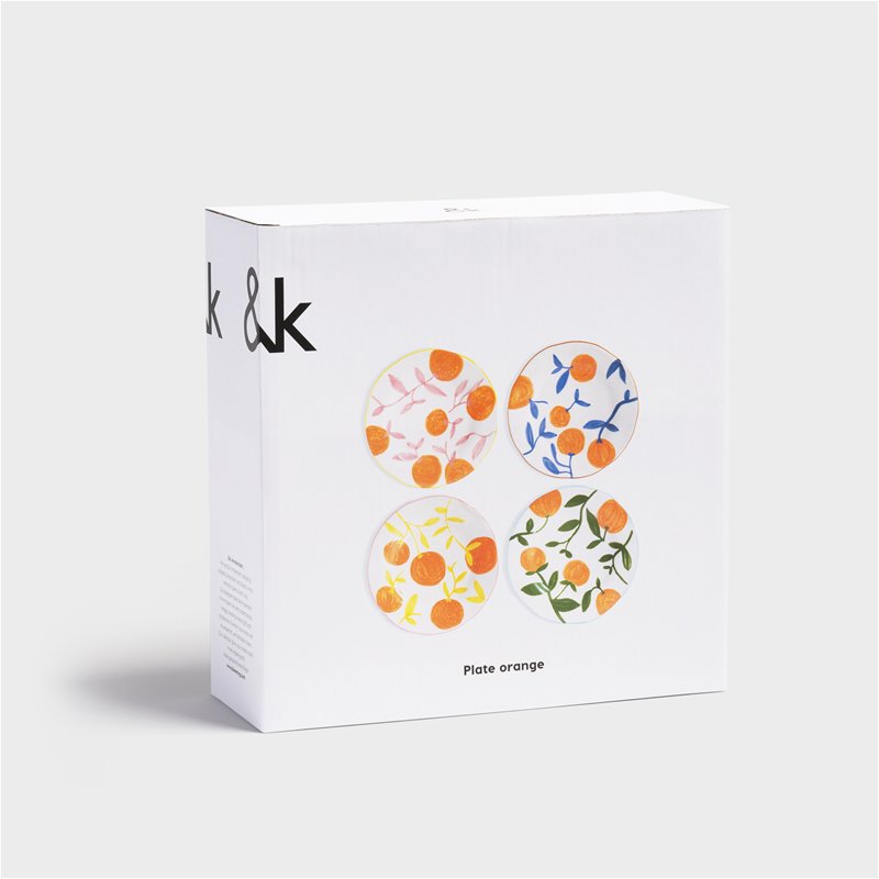 ORANGE TWIG Colorful Stoneware Plate Set