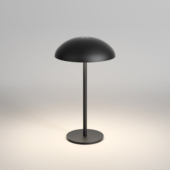 Schwarze Batterie -Lampe