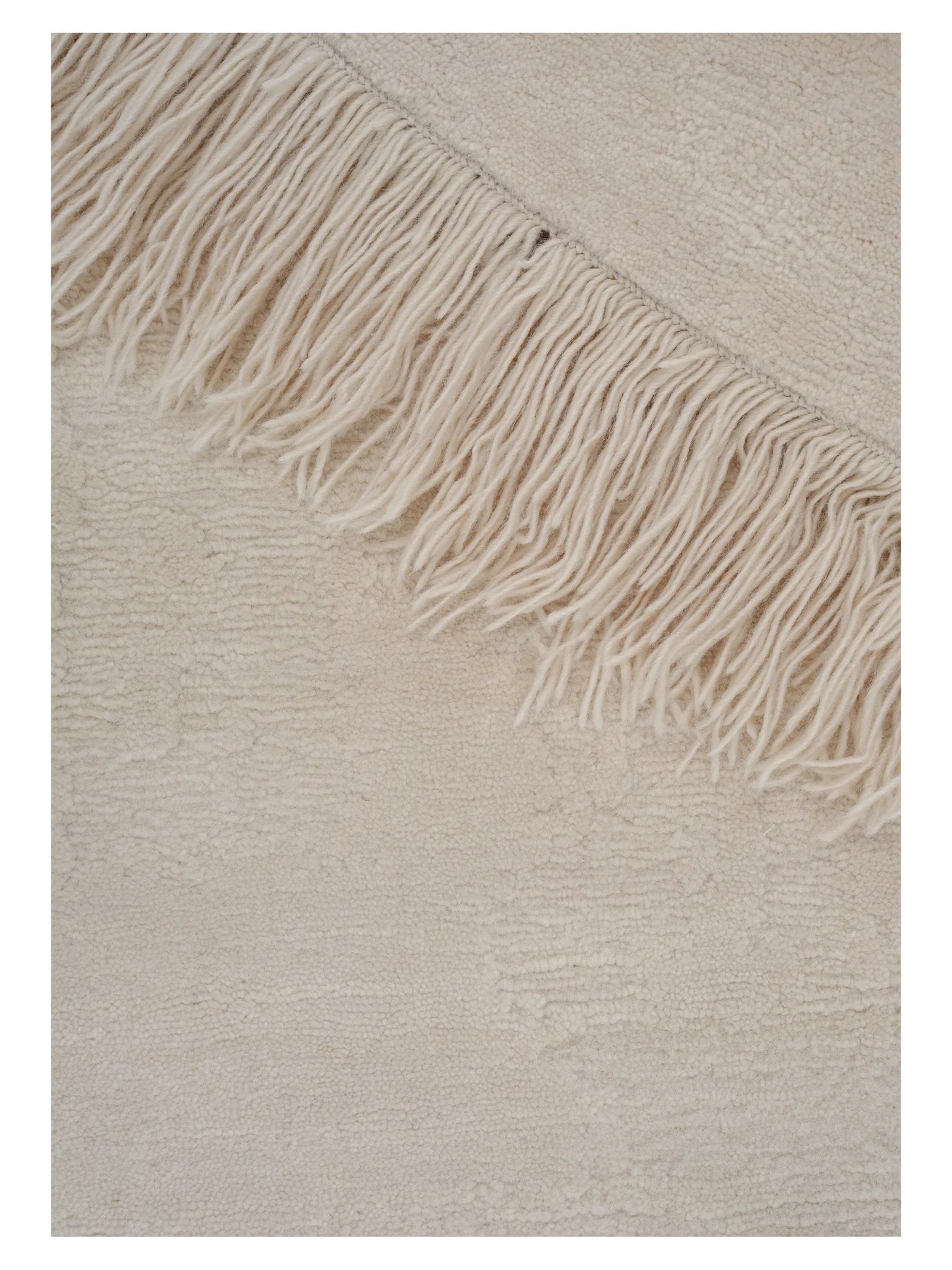 OCEANIC REEF beige rug