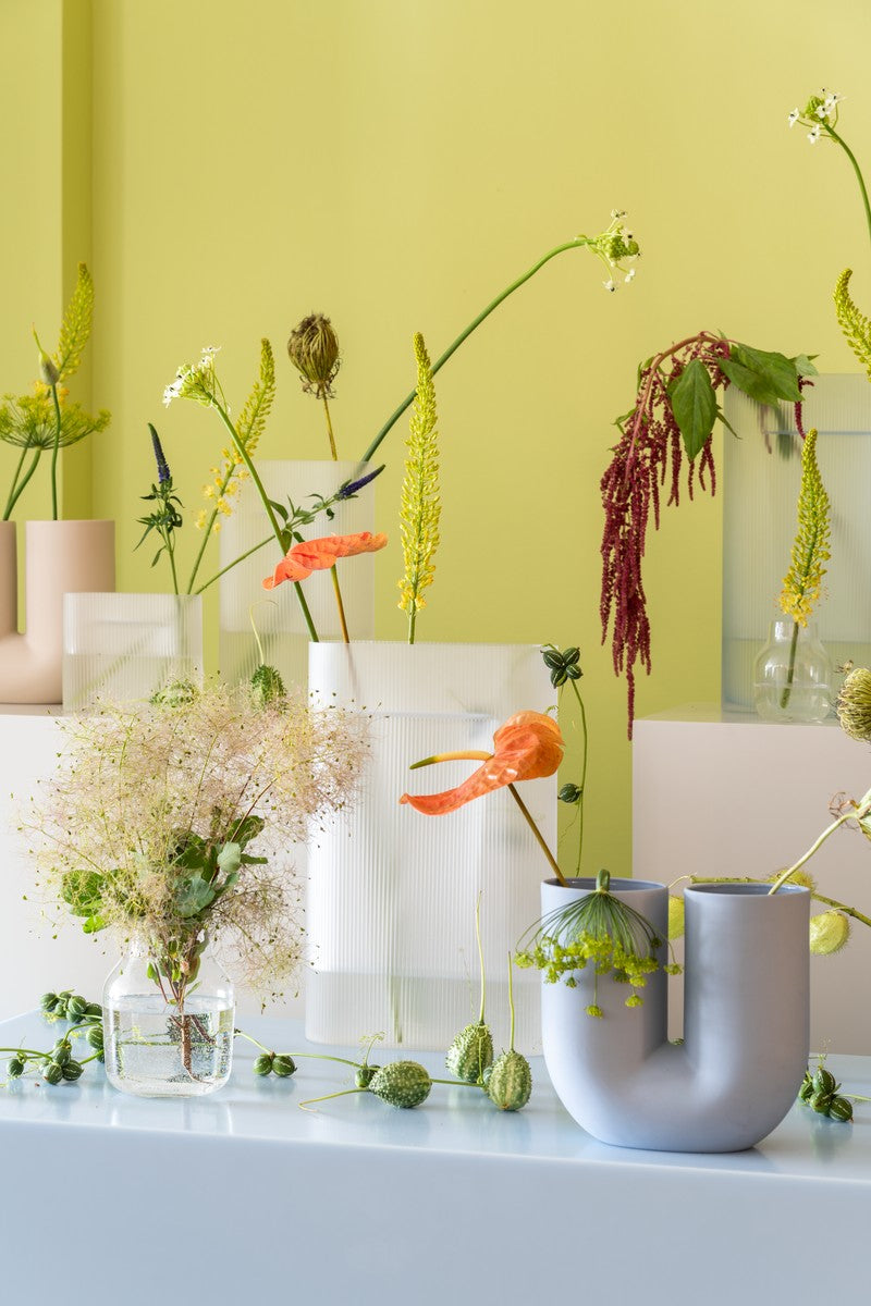 Transparent Glass Vase SILENT