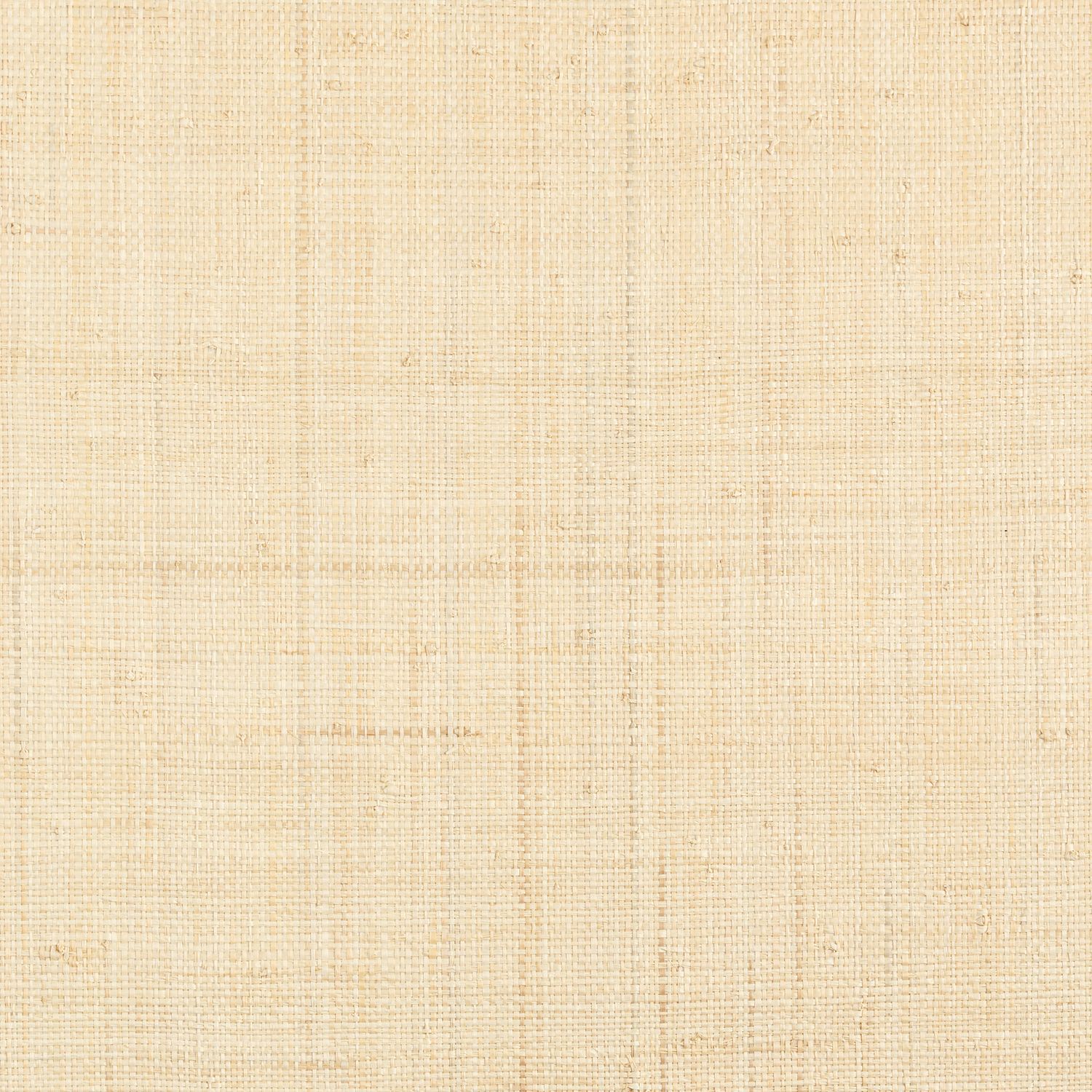 Strukturierte Naturtapete aus Raphia PALAWAN - NATUREL beige