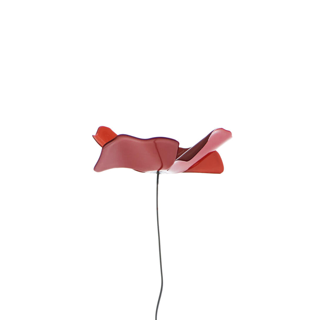 PAPAVERO Dekoration rot