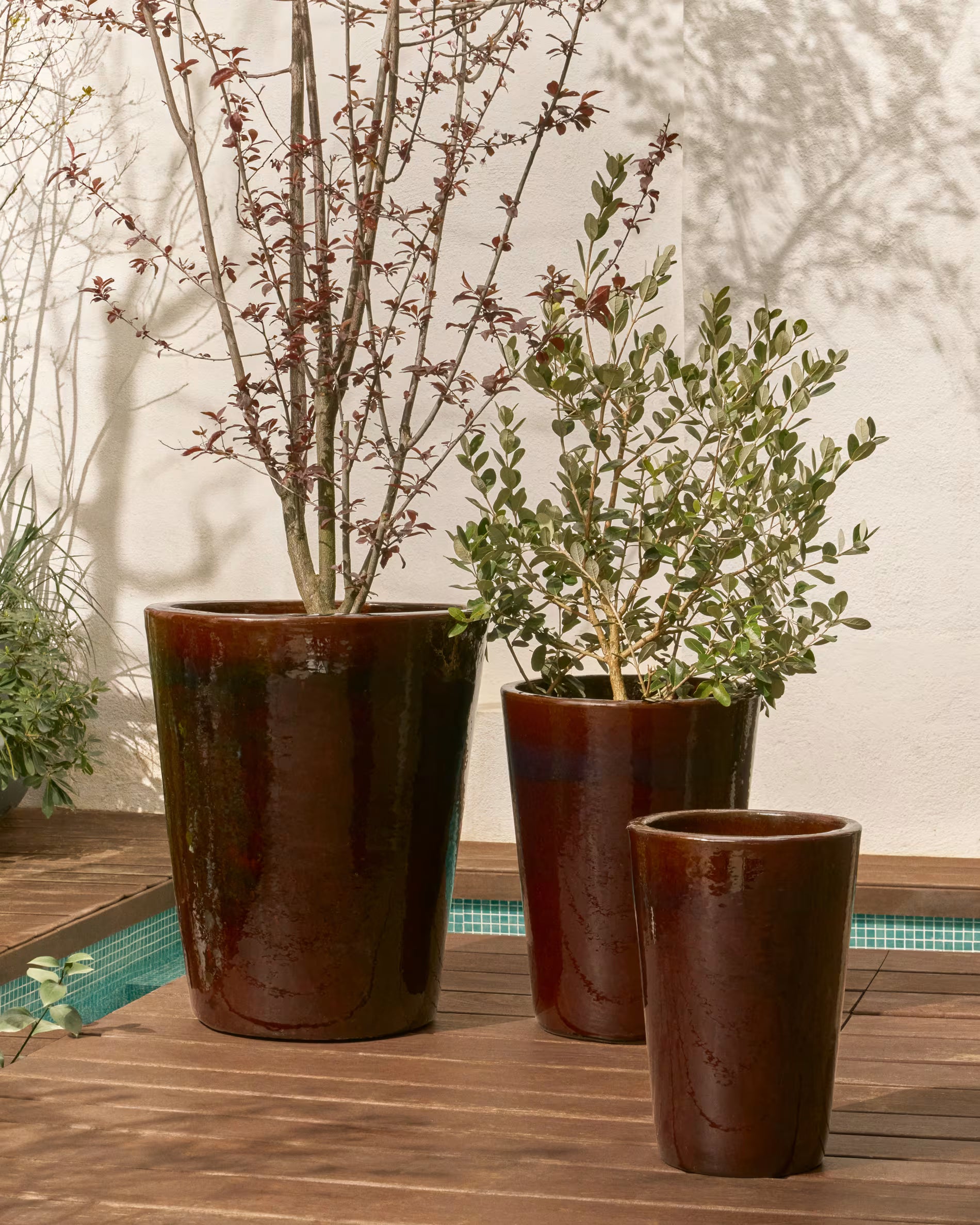 ROTJA Brown Pot Set
