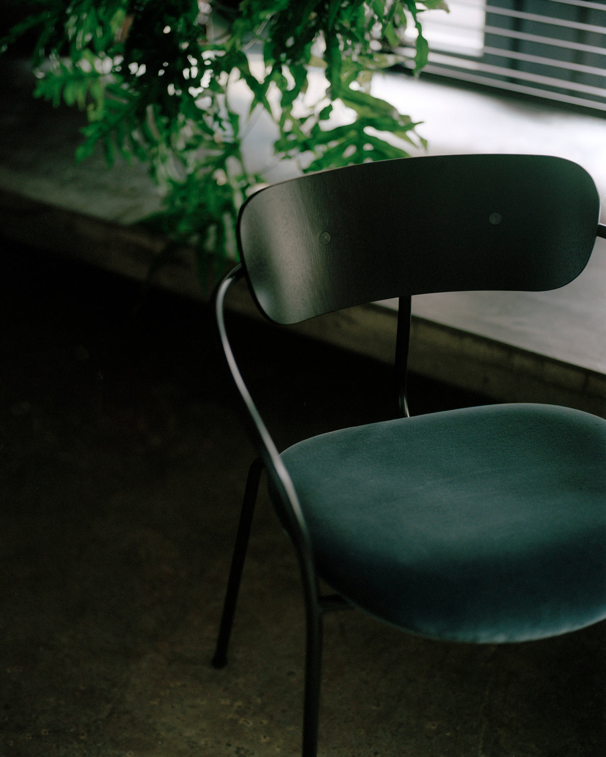 Stuhl PAVILION AV4 schwarz lackierte Eiche mit gepolstertem Sitz und schwarzem Gestell
