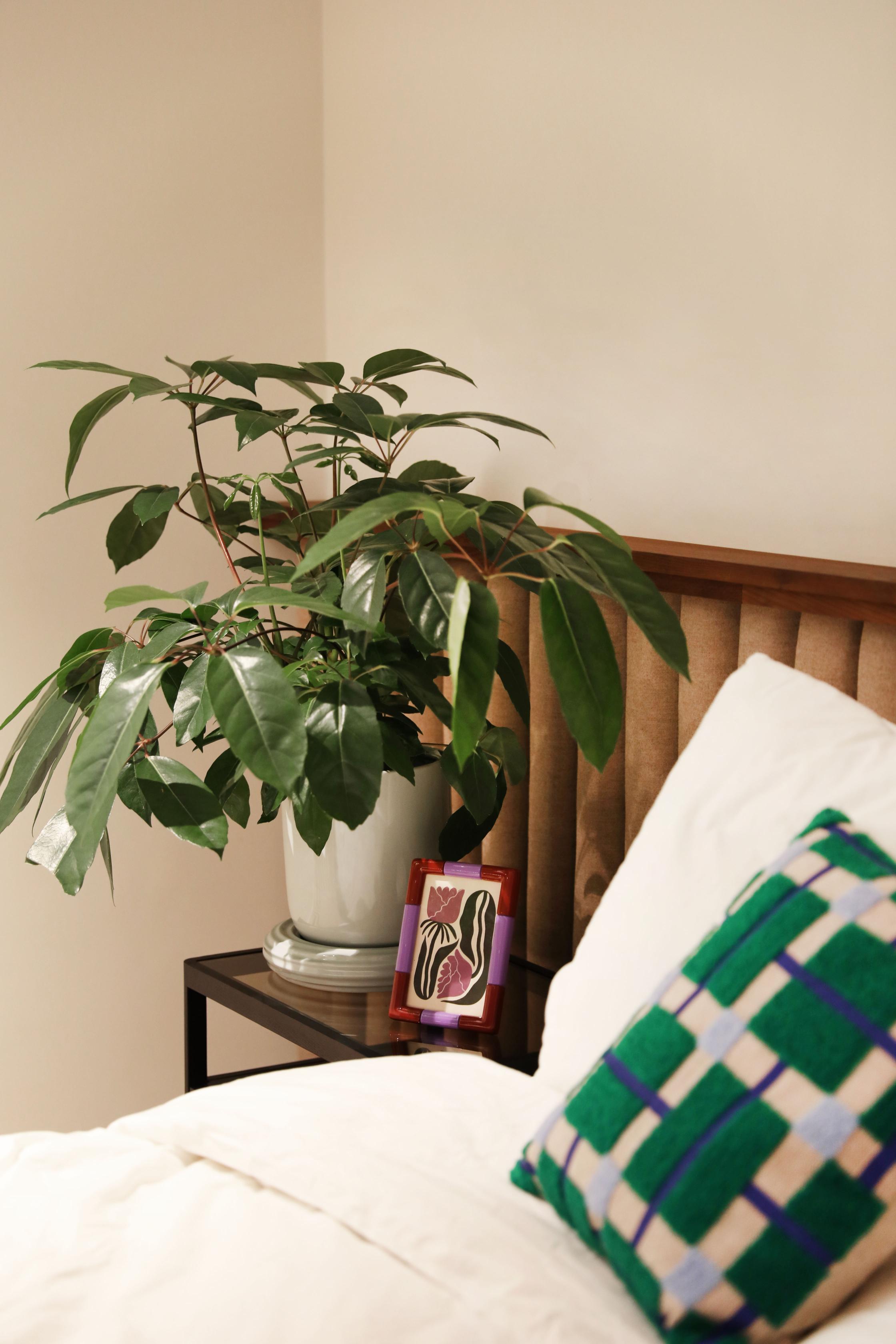 Bilderrahmen RIFT RECHTECK burgunderrot mit lila