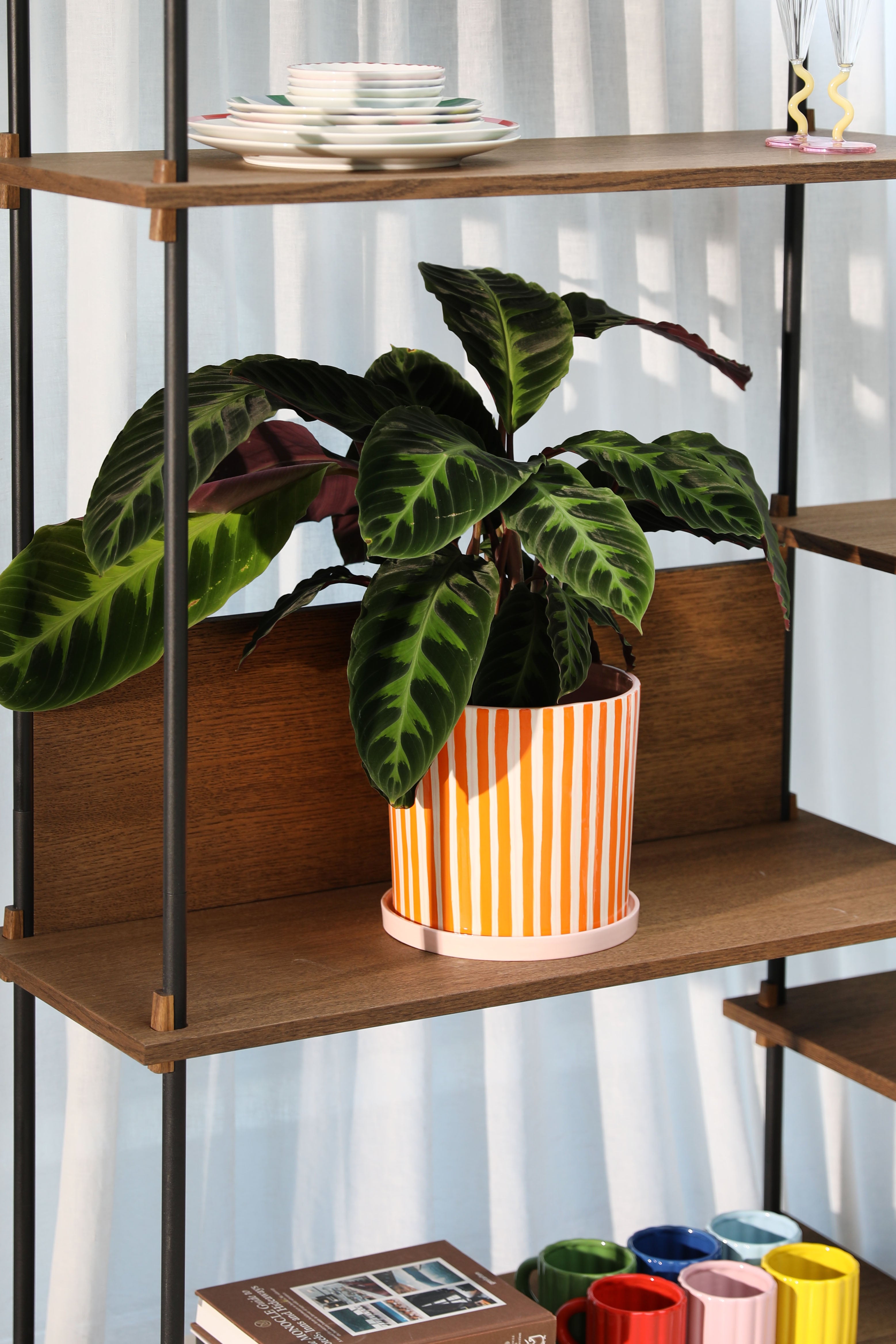 Blumentopf RAY orange mit Weiß und Rosa