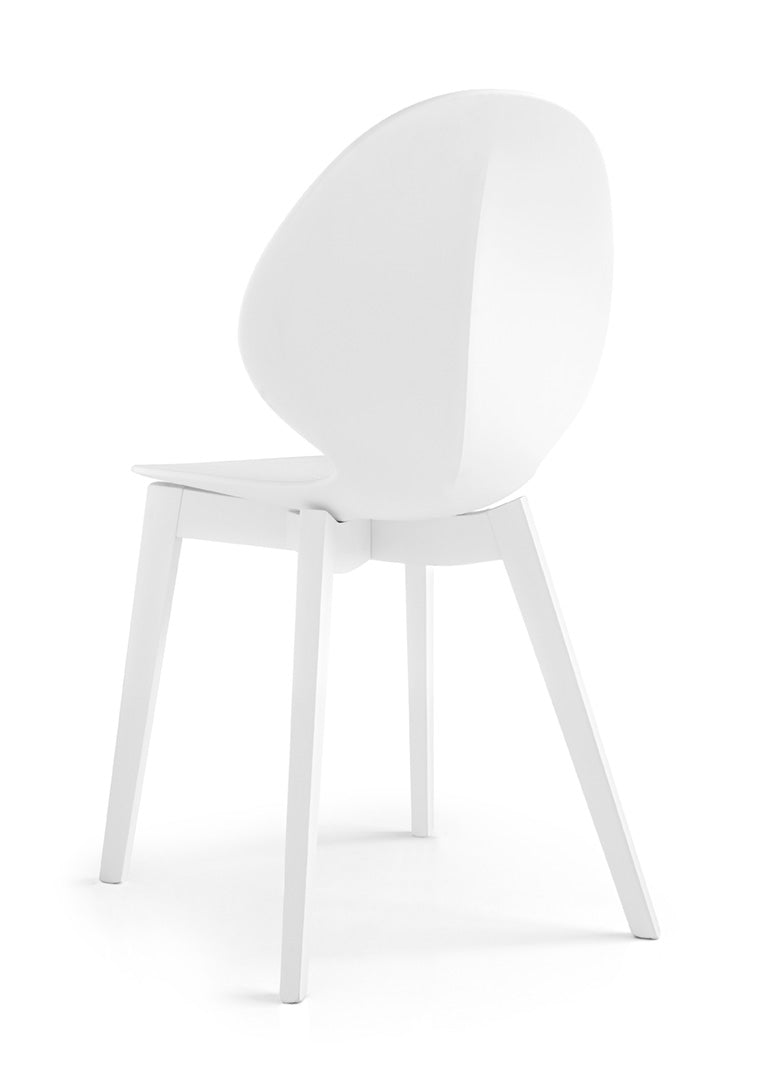 BASIL Chair with White Seat and White Wooden Base