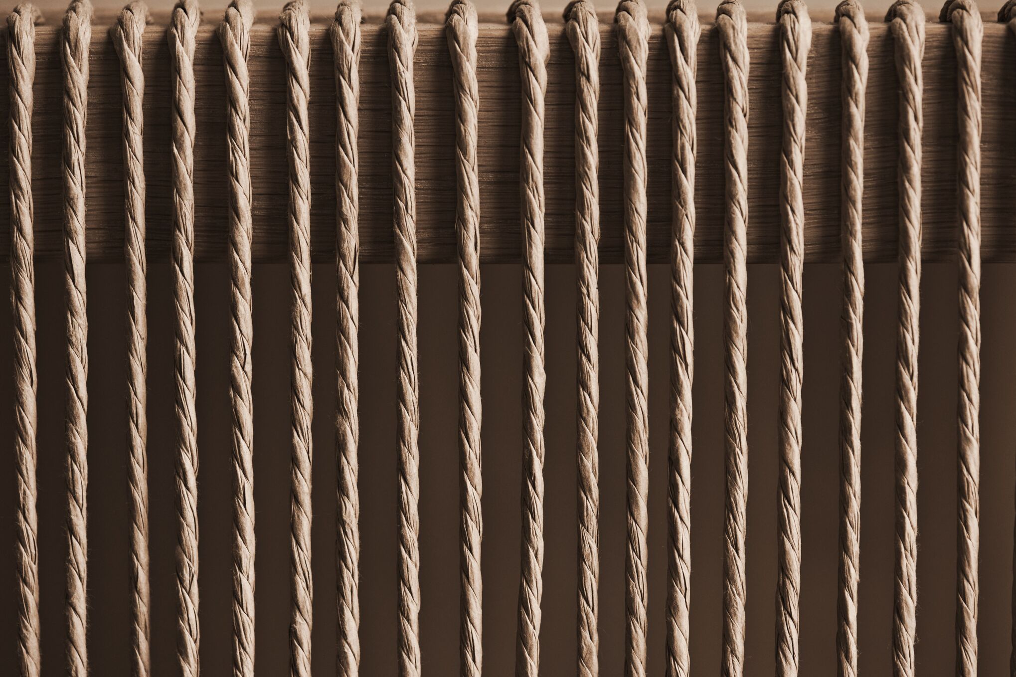 Cord website blew oak wood