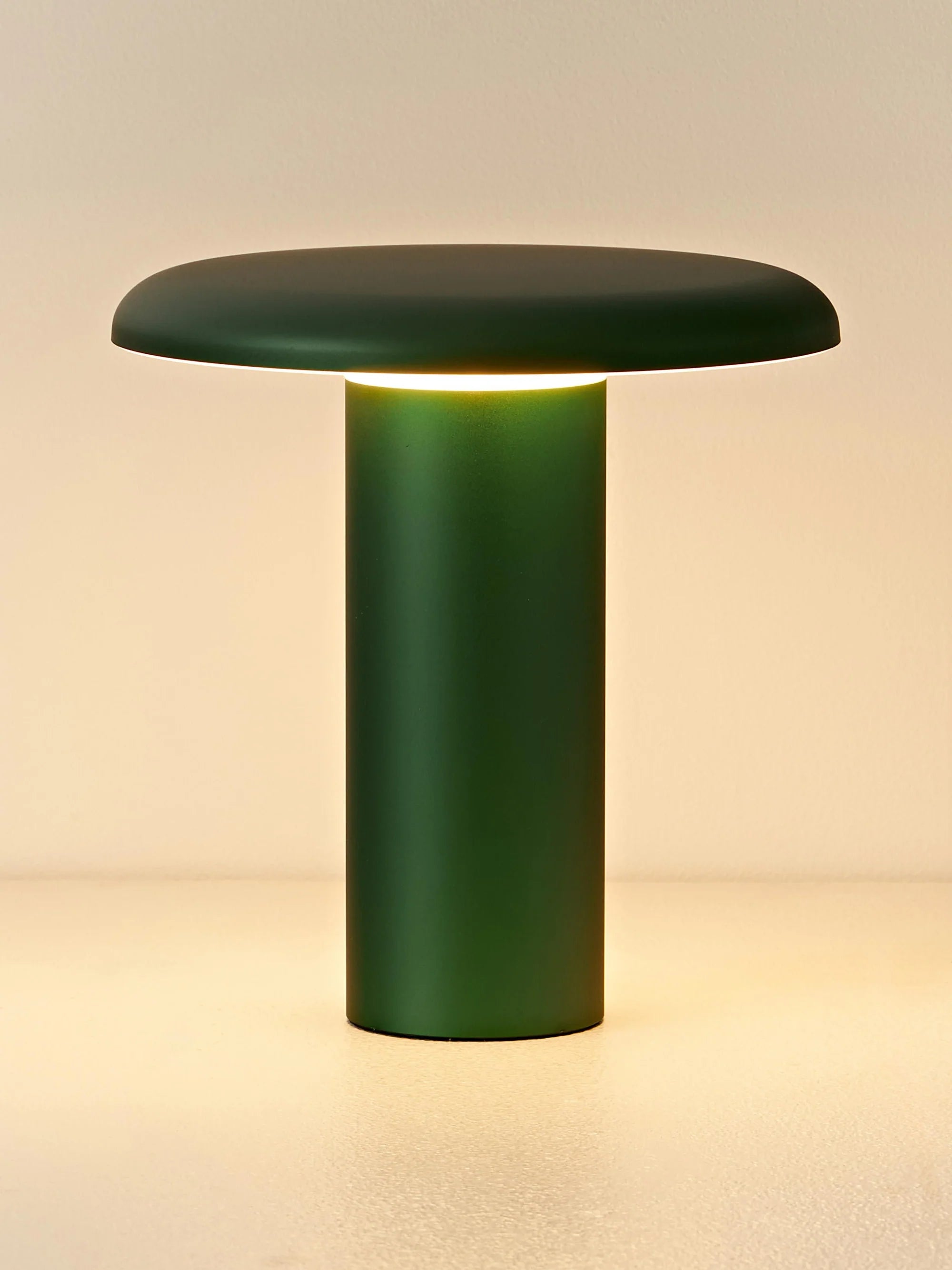 Portable Lamp TAKKU anodized green