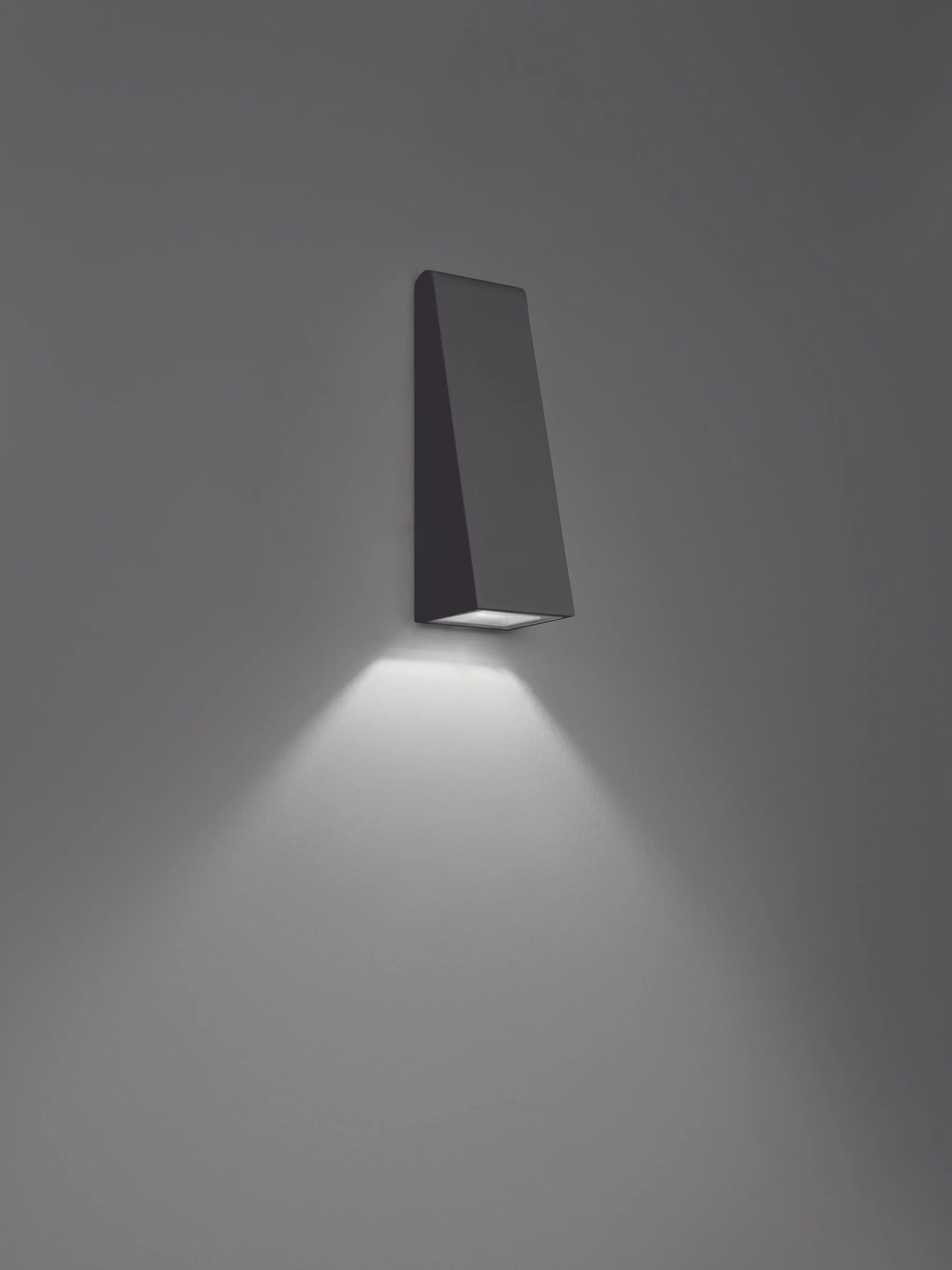Outdoor wall lamp CUNEO in anthracite