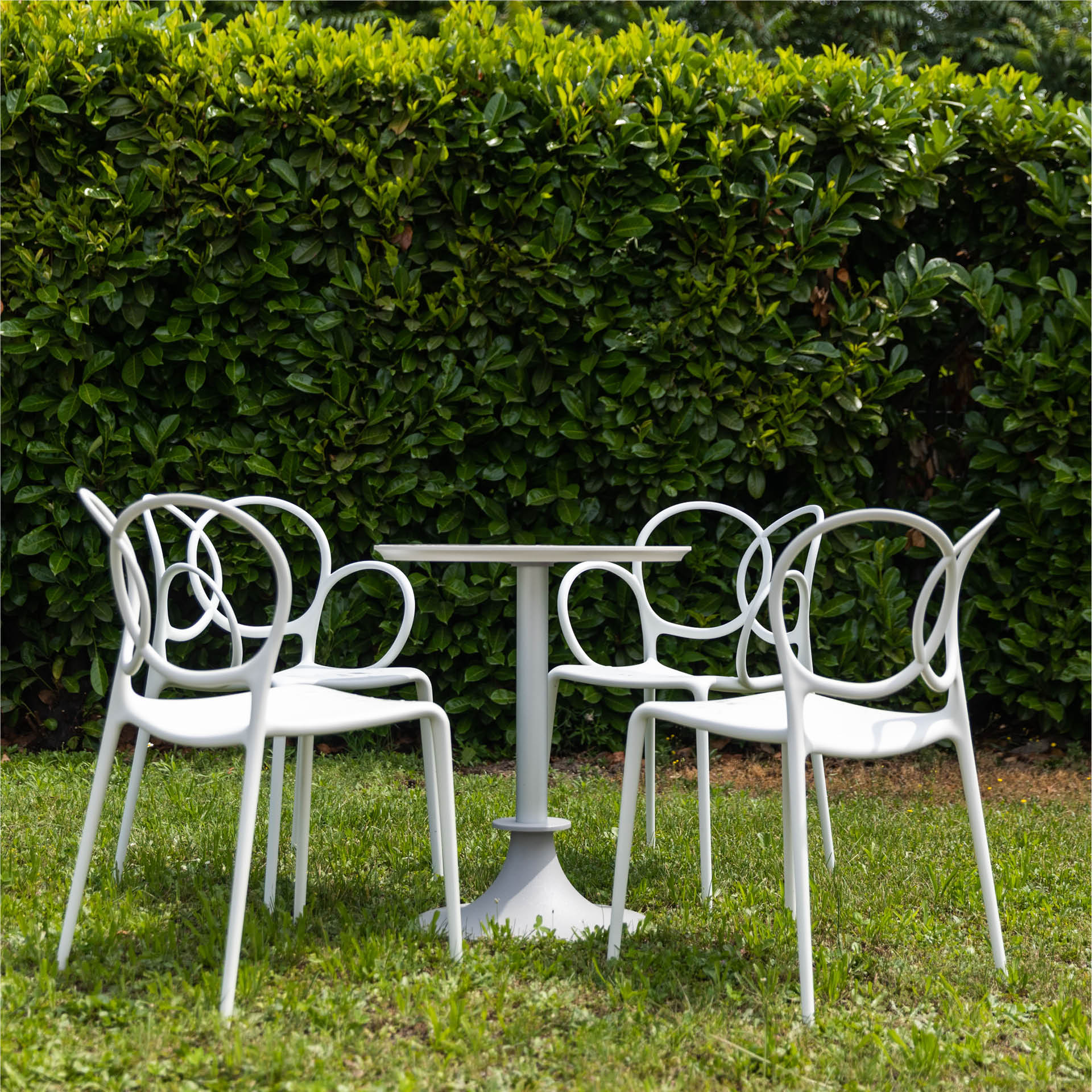 Chair with SISSI White armrests