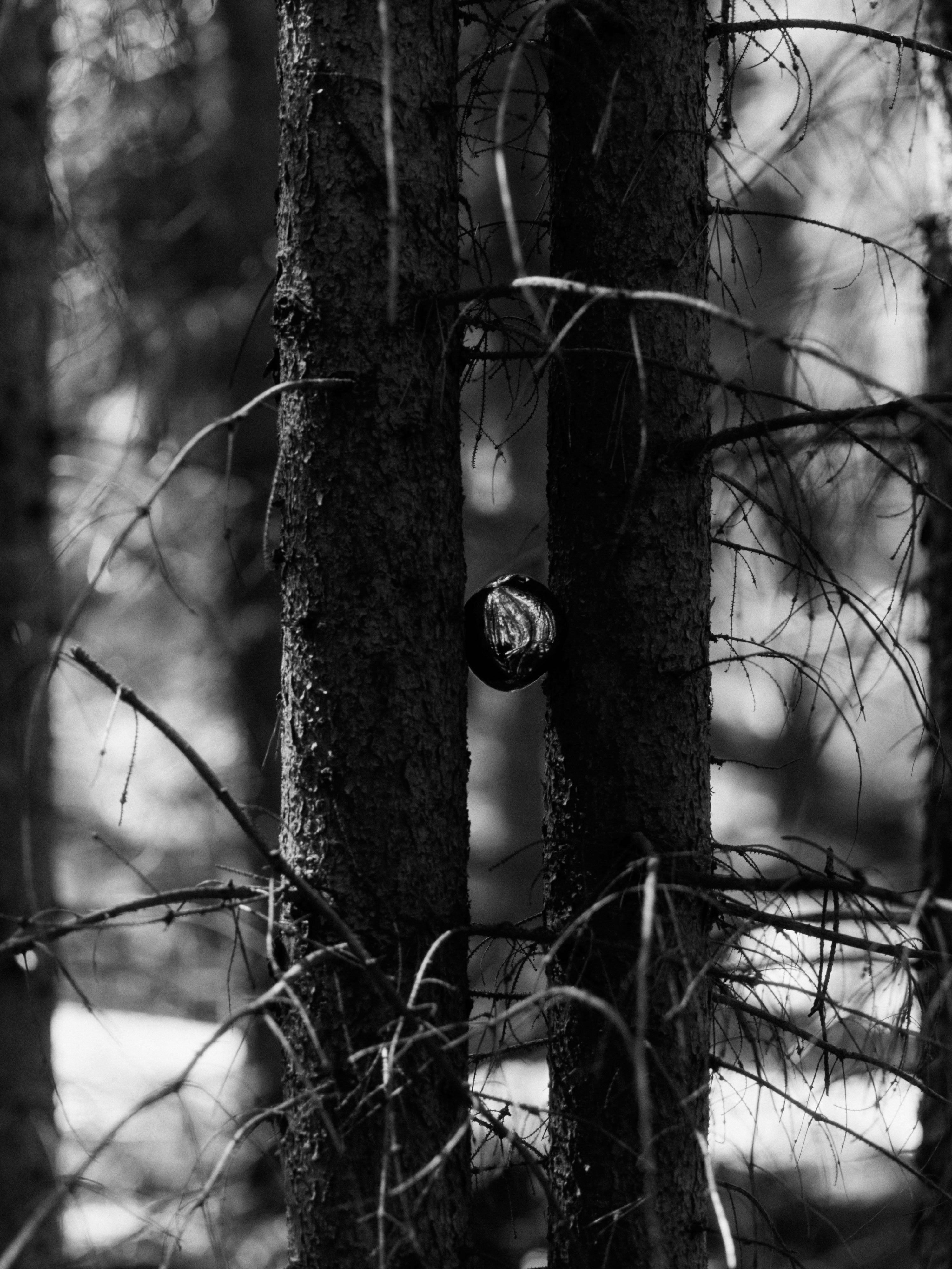 BELLURE Silver Christmas Ornament Set