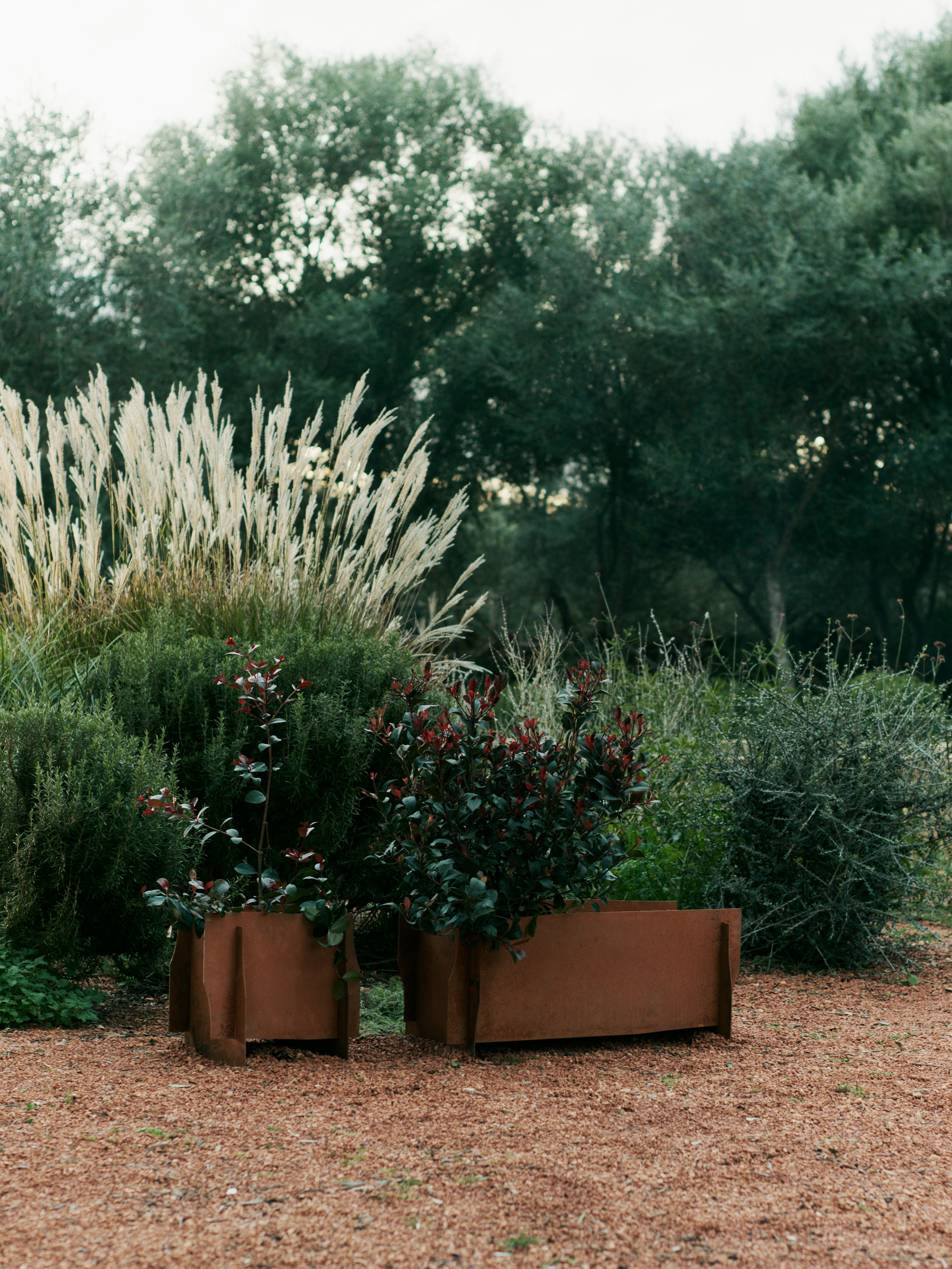 LAPEL Planter Rust
