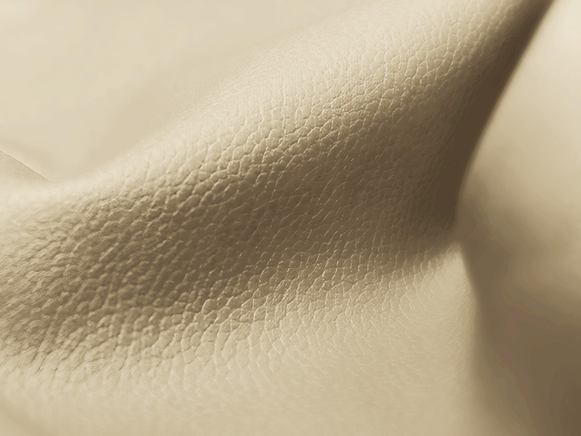 Pouf / module LOKUA beige eco-leather