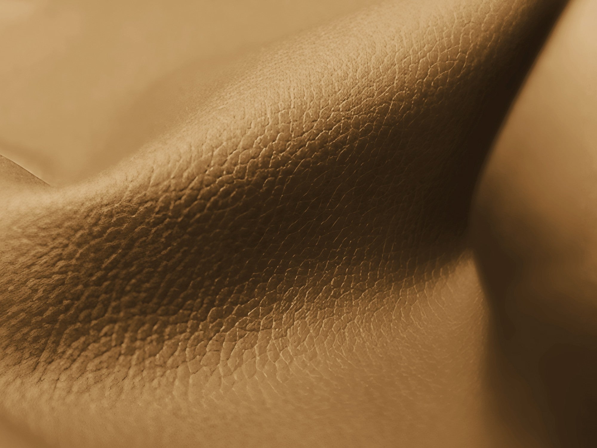 Left-sided modular corner sofa LOKUA in caramel eco-leather