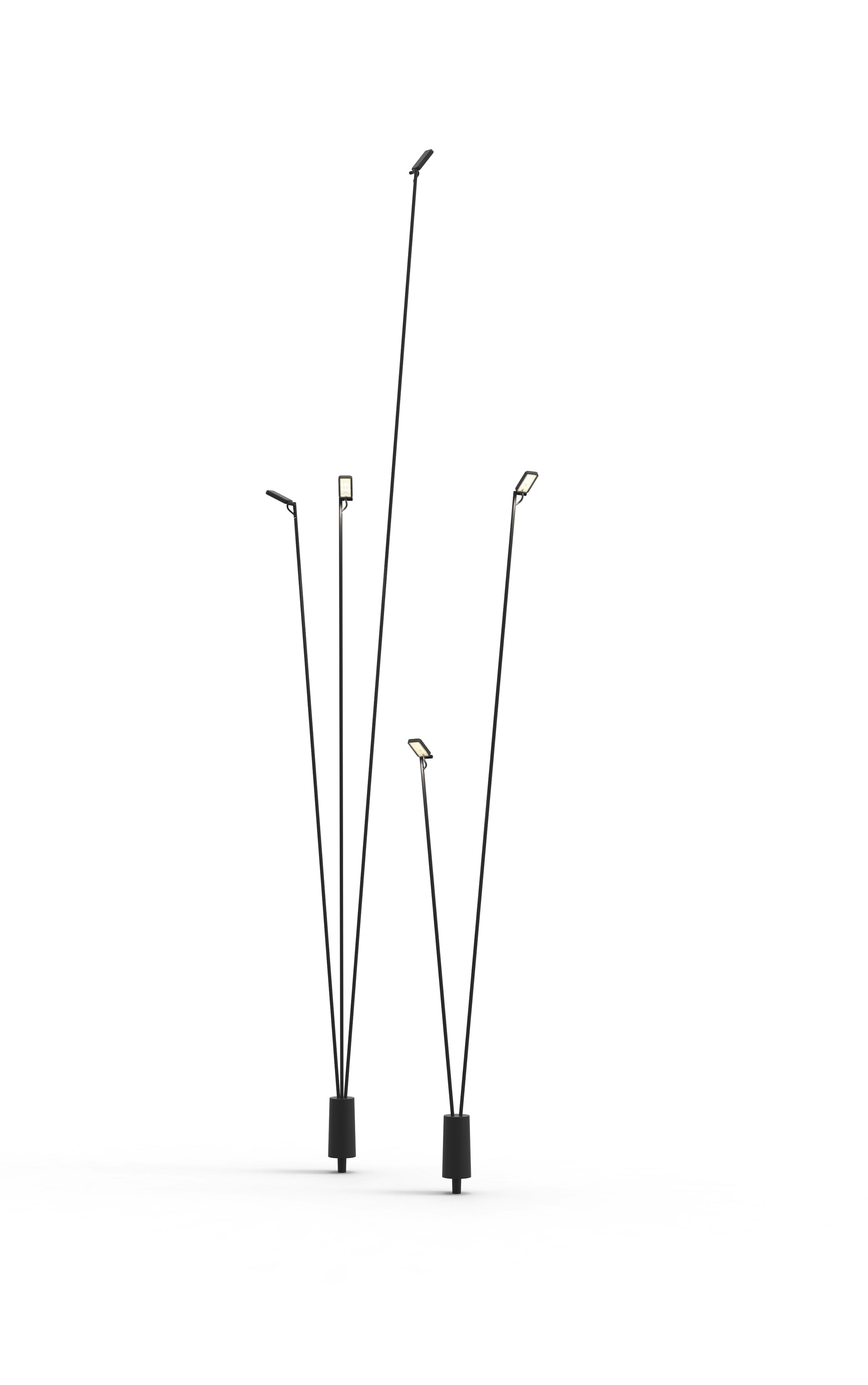 Multi -Imnaes äußere Lampe