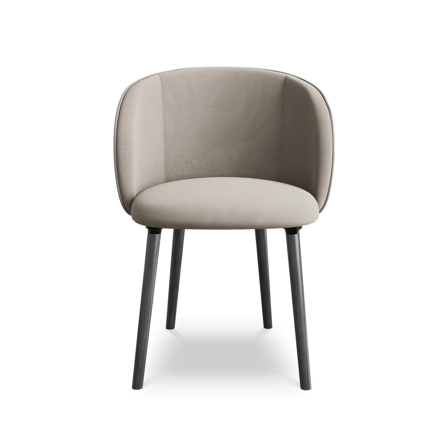 Velvet Chair MAIA taupe with Black Oak Base