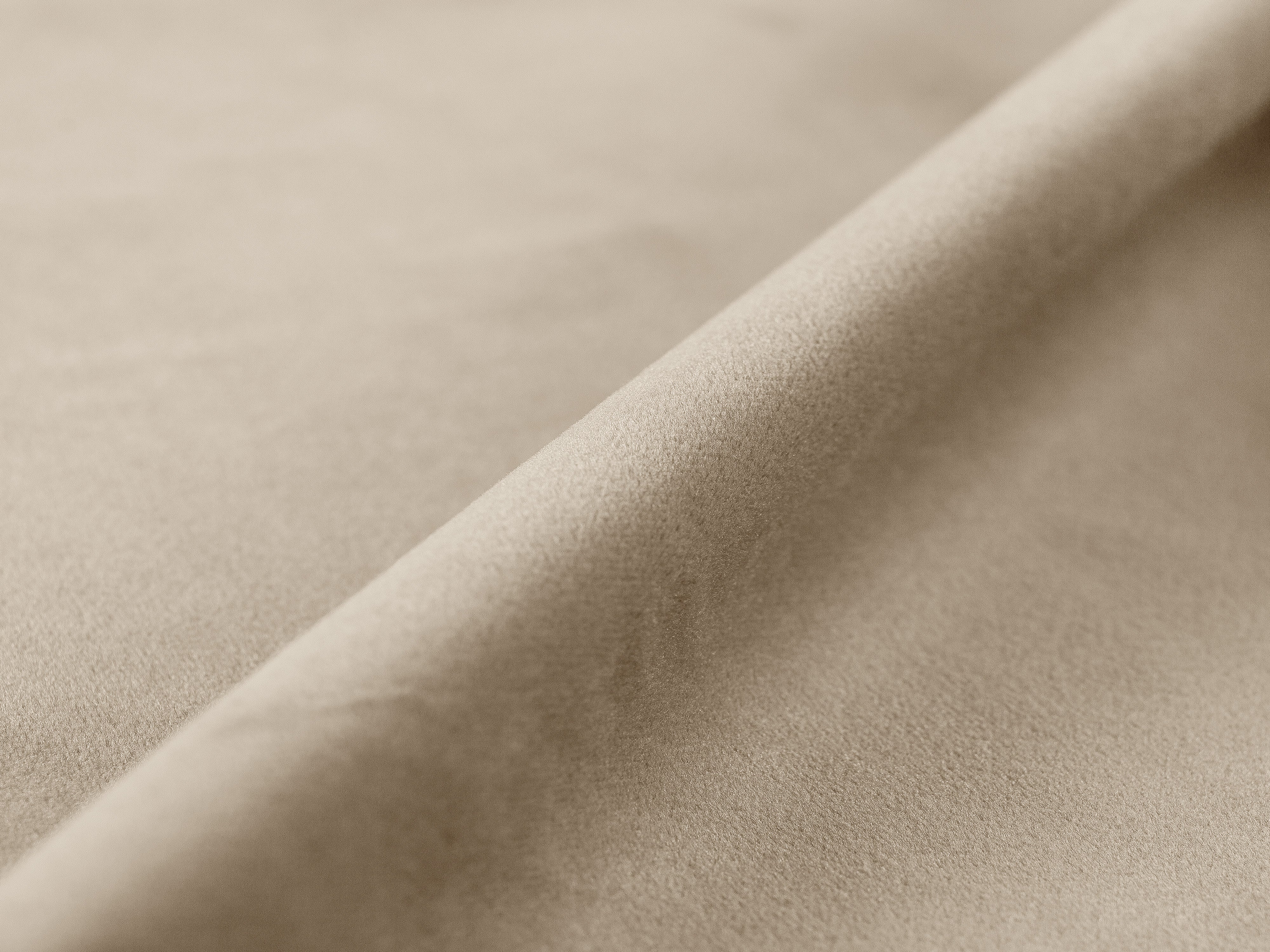 Samtbett mit Bettkasten BELLIS in Beige