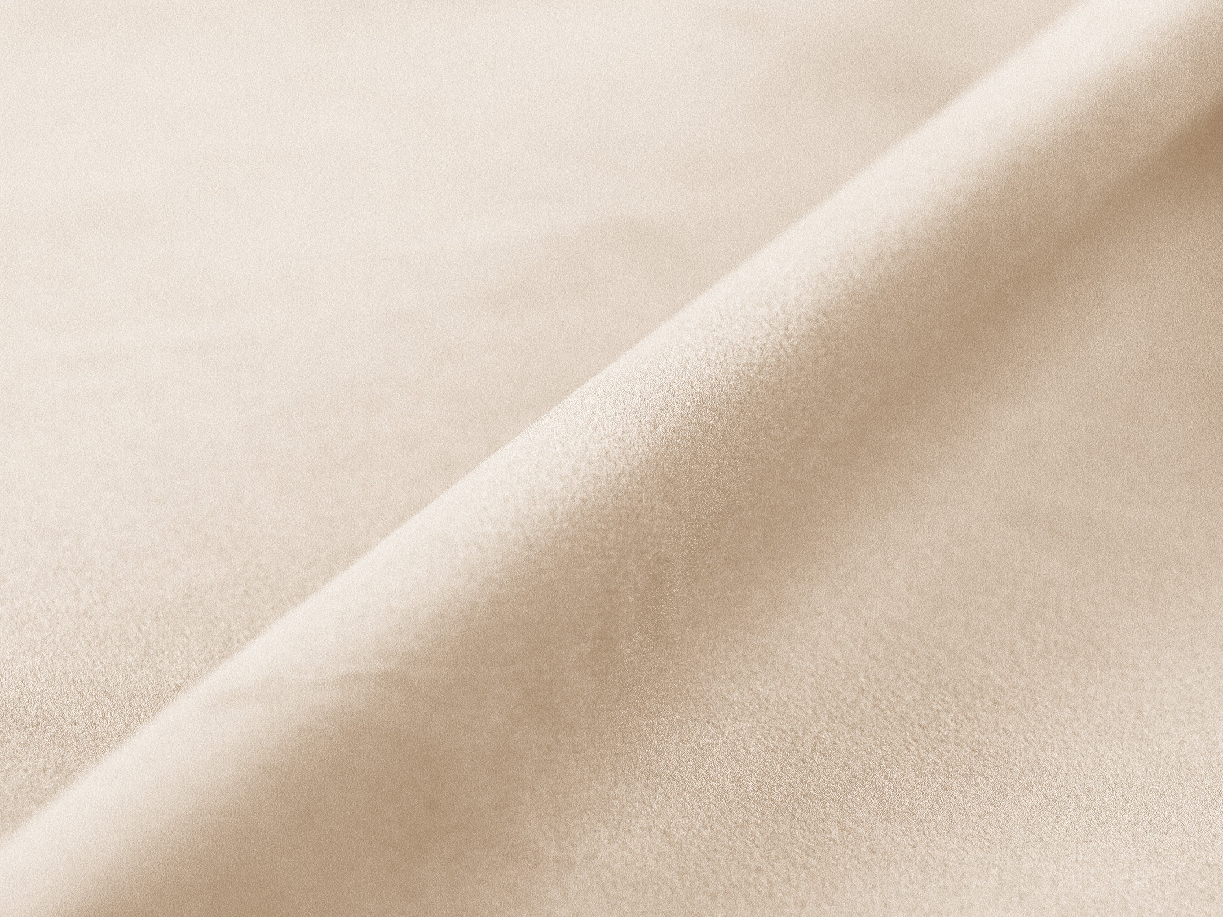 Samtbett mit Bettkasten LUPINE beige