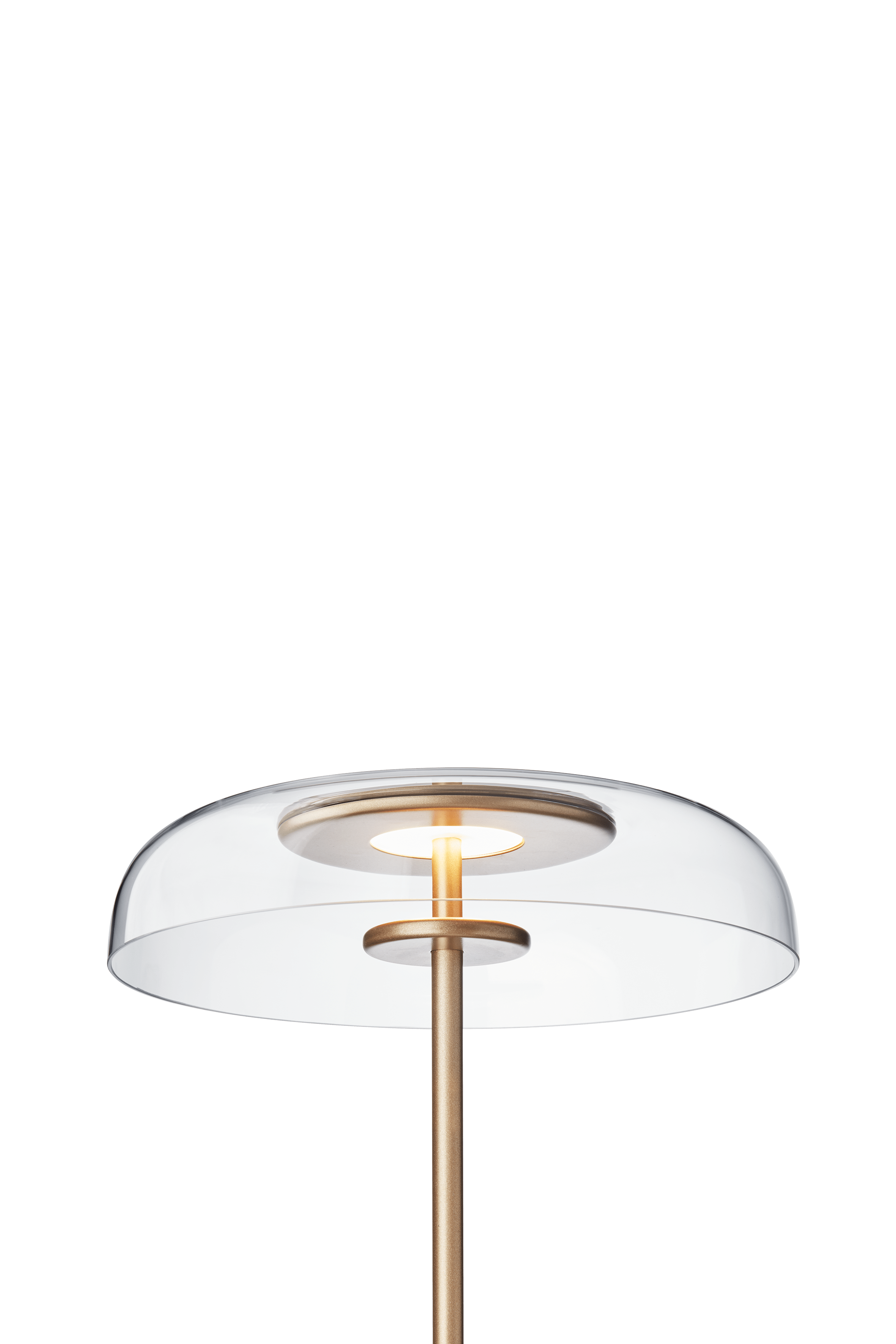 BLOSSI Floor Lamp in Gold with Transparent Glass