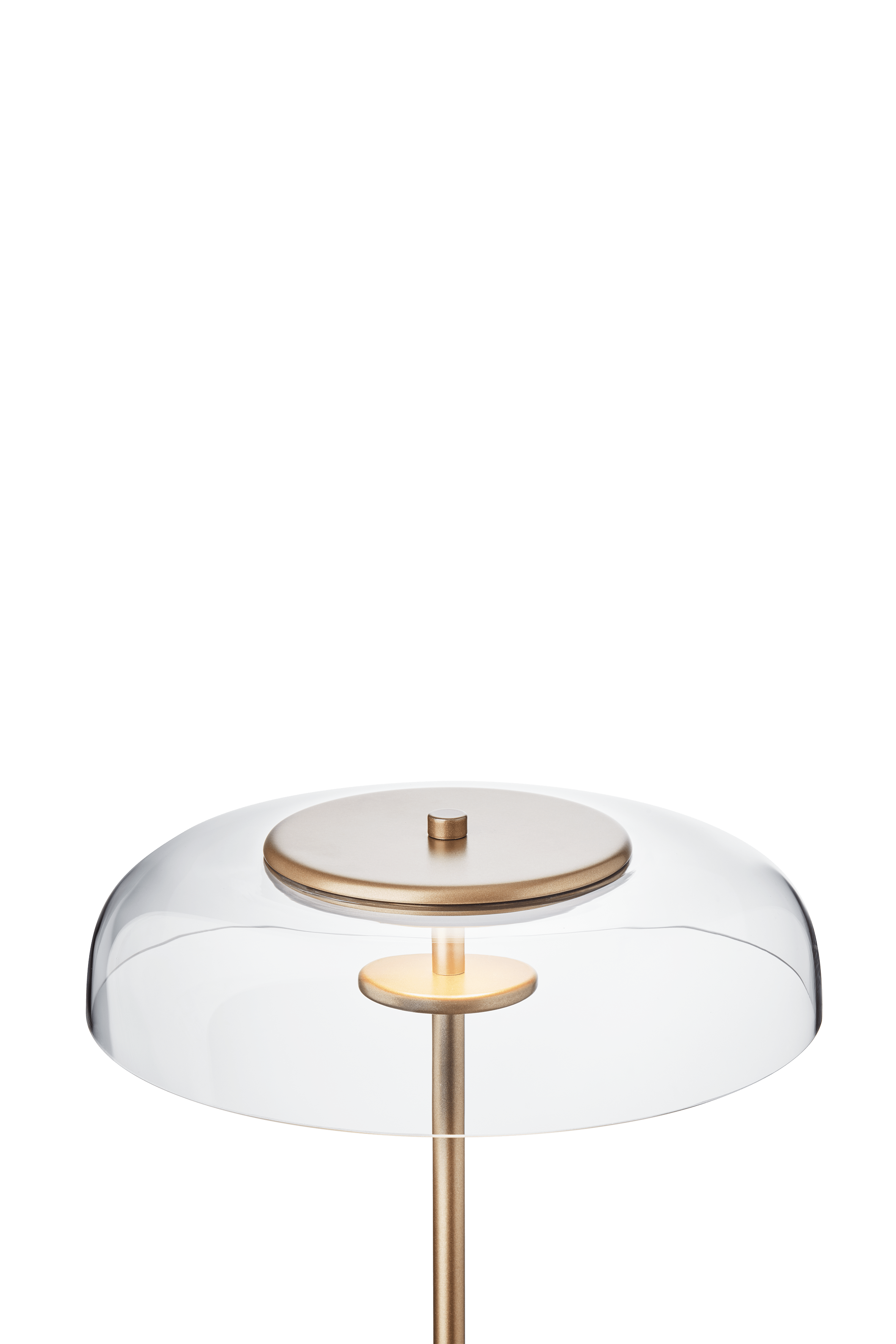 BLOSSI Floor Lamp in Gold with Transparent Glass