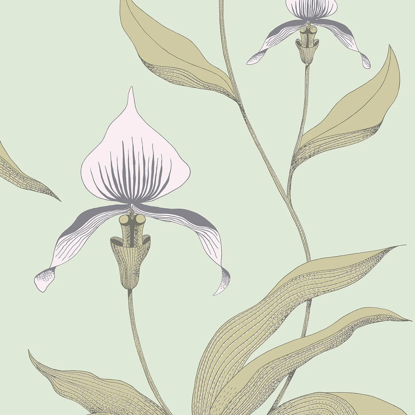 Tapete mit Pflanzenmotiv von Orchideen CONTEMPORARY COLLECTION - ORCHID sandfarben mit grün