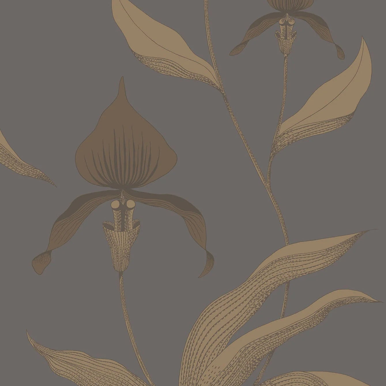 Tapete mit Pflanzenmotiv von Orchideen CONTEMPORARY COLLECTION - ORCHID braun mit dunkelgrau