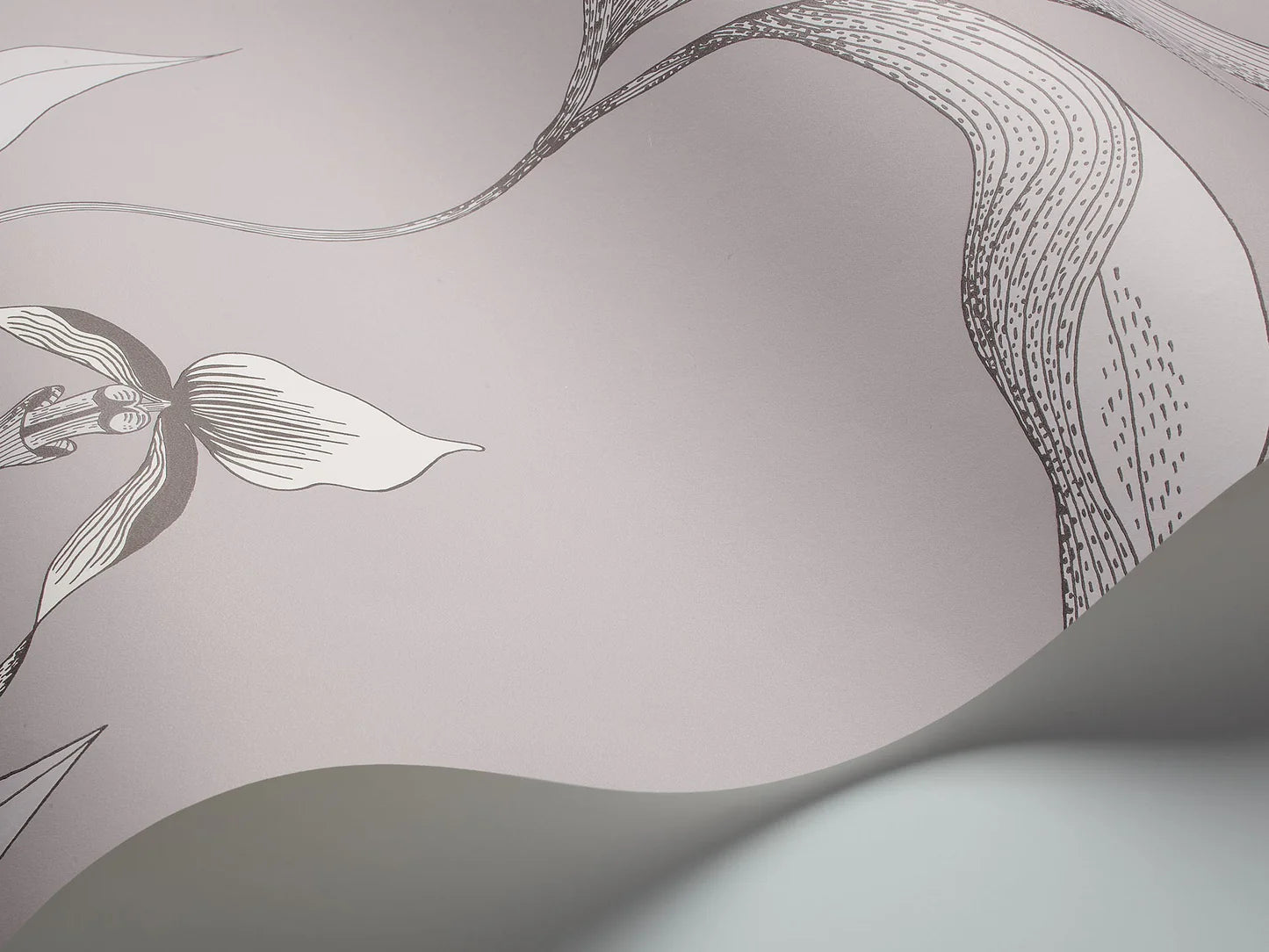 Tapete mit Pflanzenmotiv von Orchideen CONTEMPORARY COLLECTION - ORCHID weiß mit grau