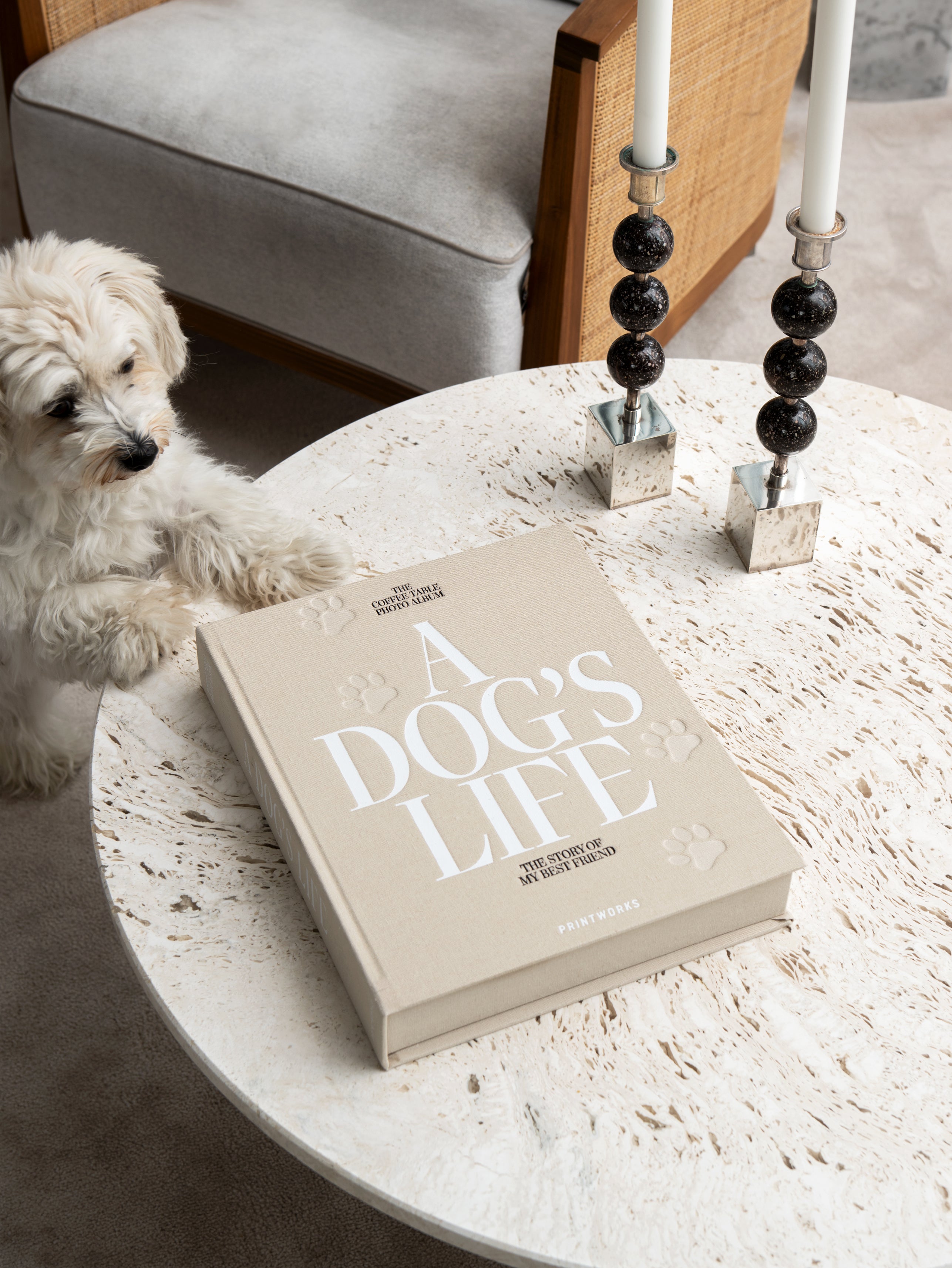 Fotoalbum A DOG'S LIFE beige