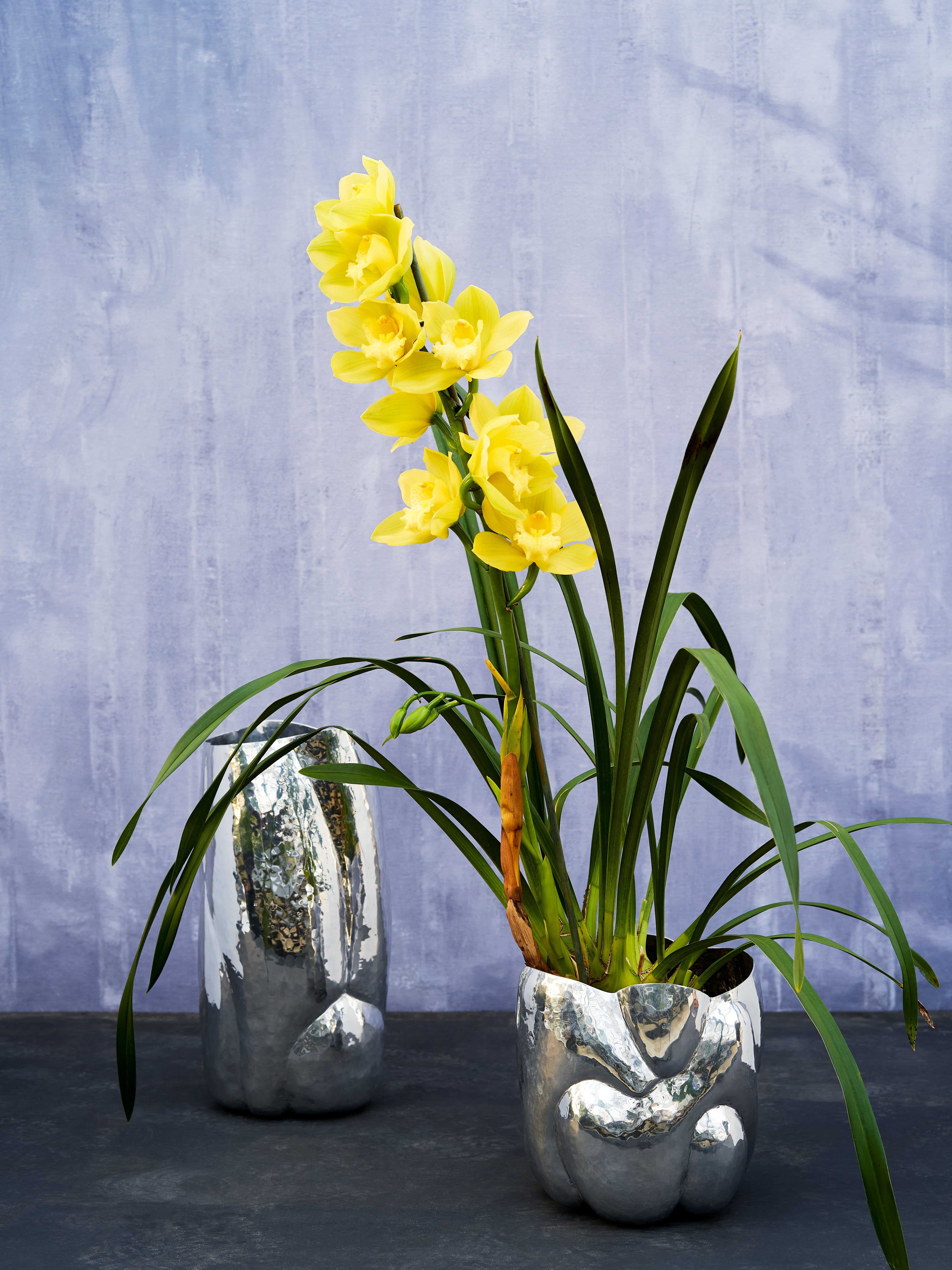 Wazon CLOUD Aluminium