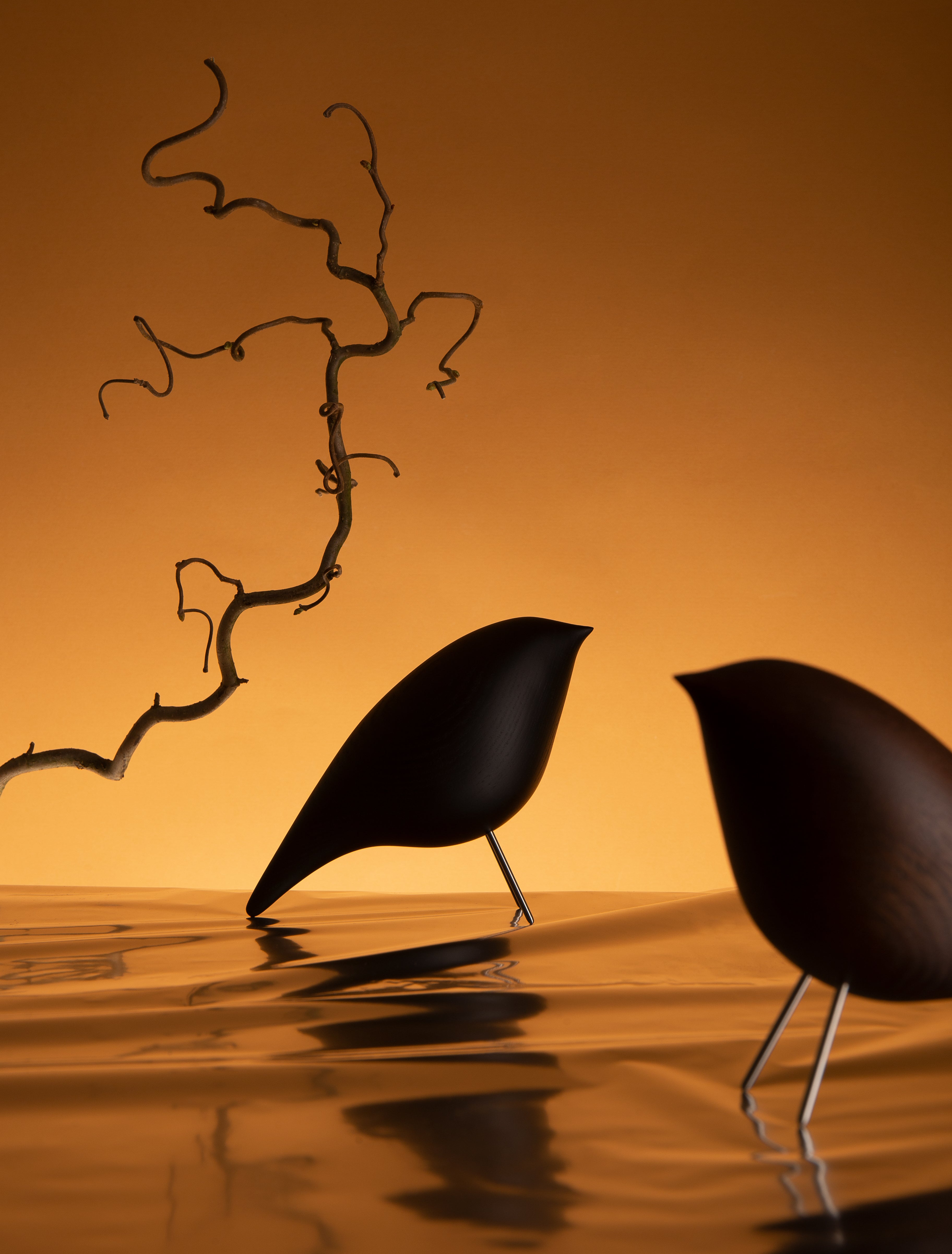 Dekorative Figur TWEETY DEKORATIVER VOGEL schwarzer Esche