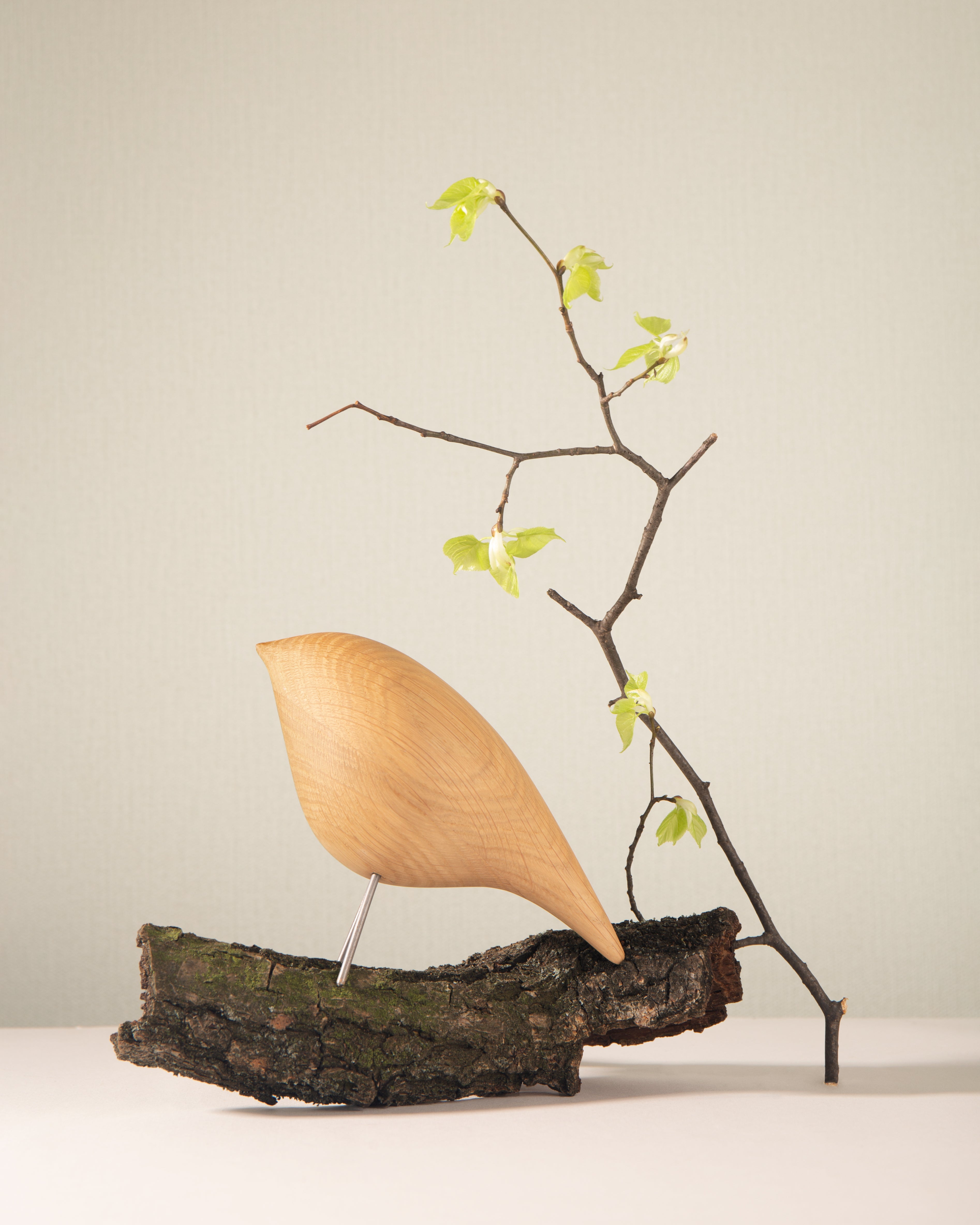 Decorative Figurine TWEETY DECORATIVE BIRD natural oak