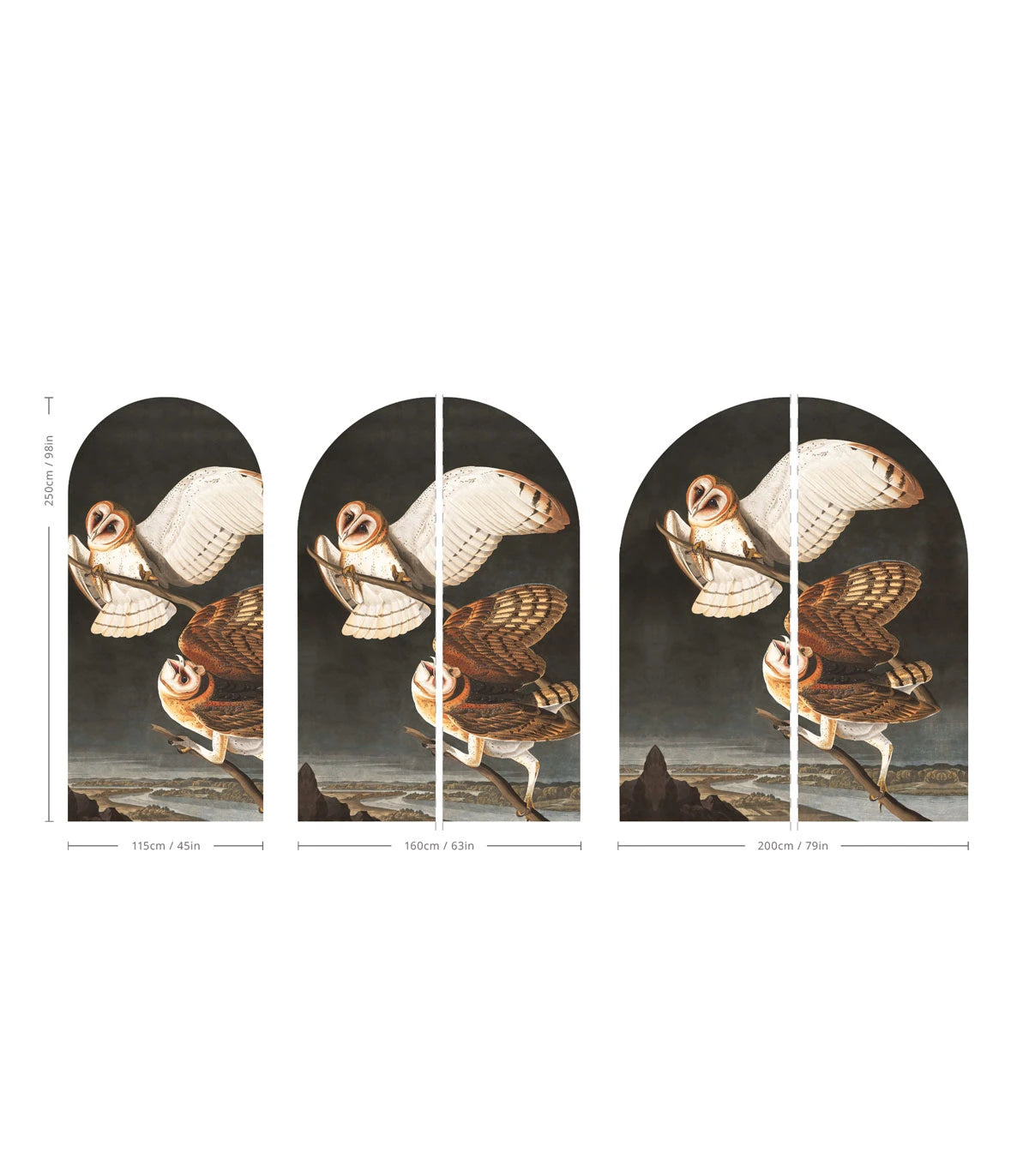 Vlies-Tapete in Bogenform OWLS dunkelgrau