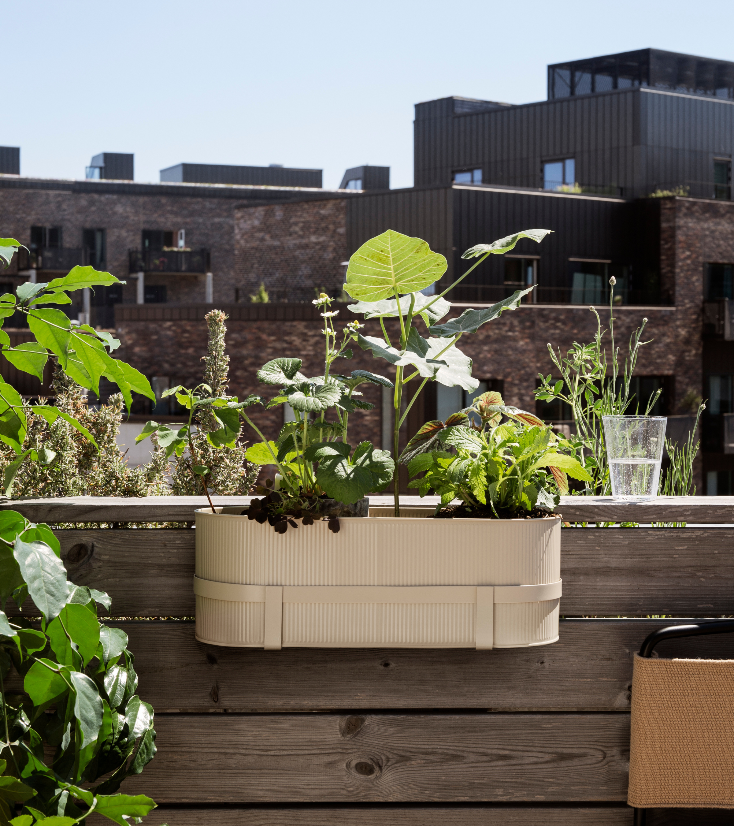 BAU beige hanging pot