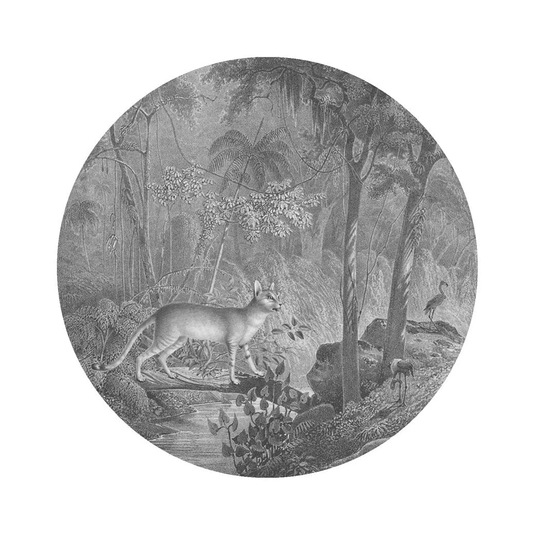 Circular Mural DOTS - JUNGLE CAT gray