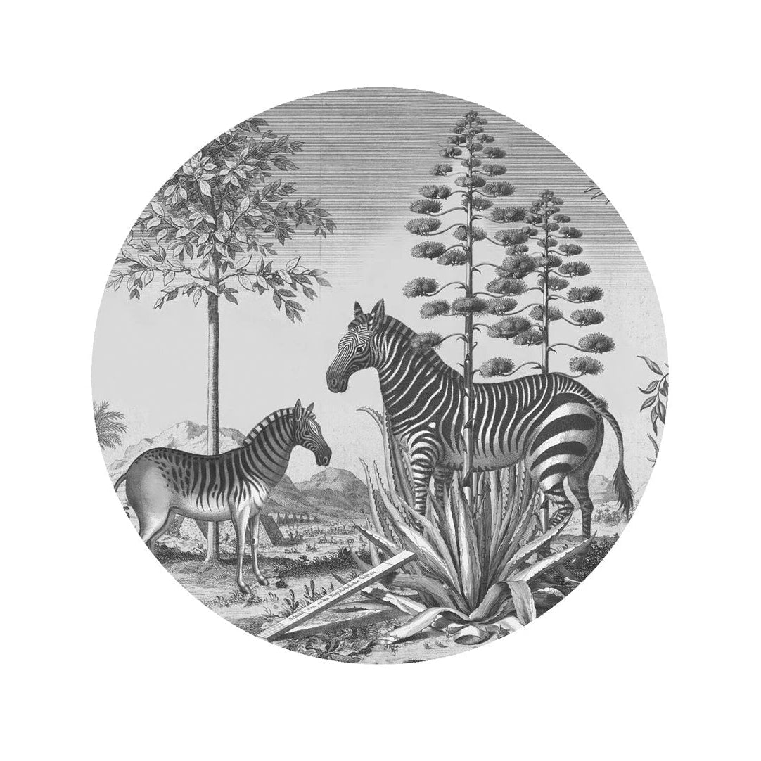 Circular Mural DOTS - ZEBRA ON AGAVE black and white