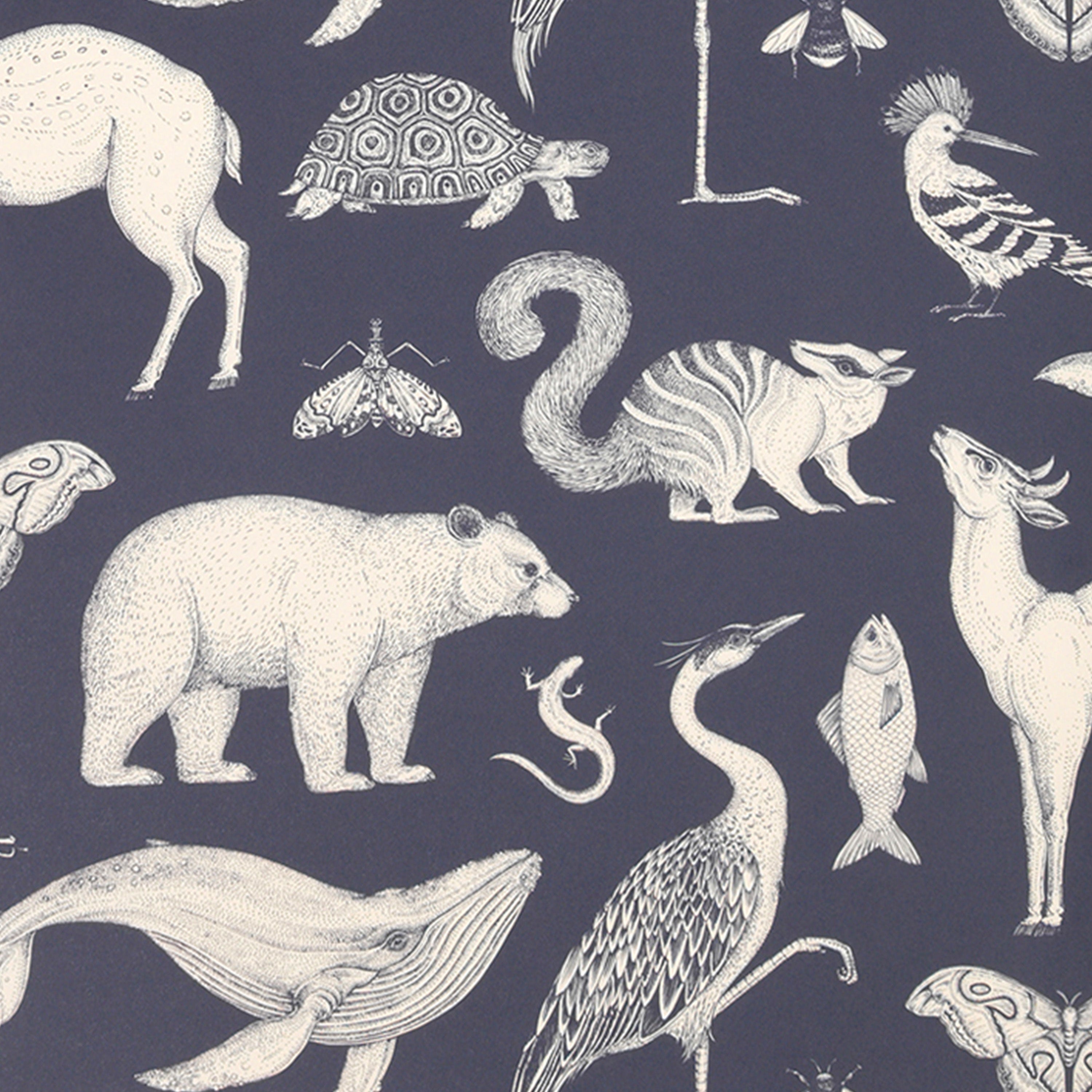 KATIE SCOTT - ANIMALS dunkelblaue Tapete