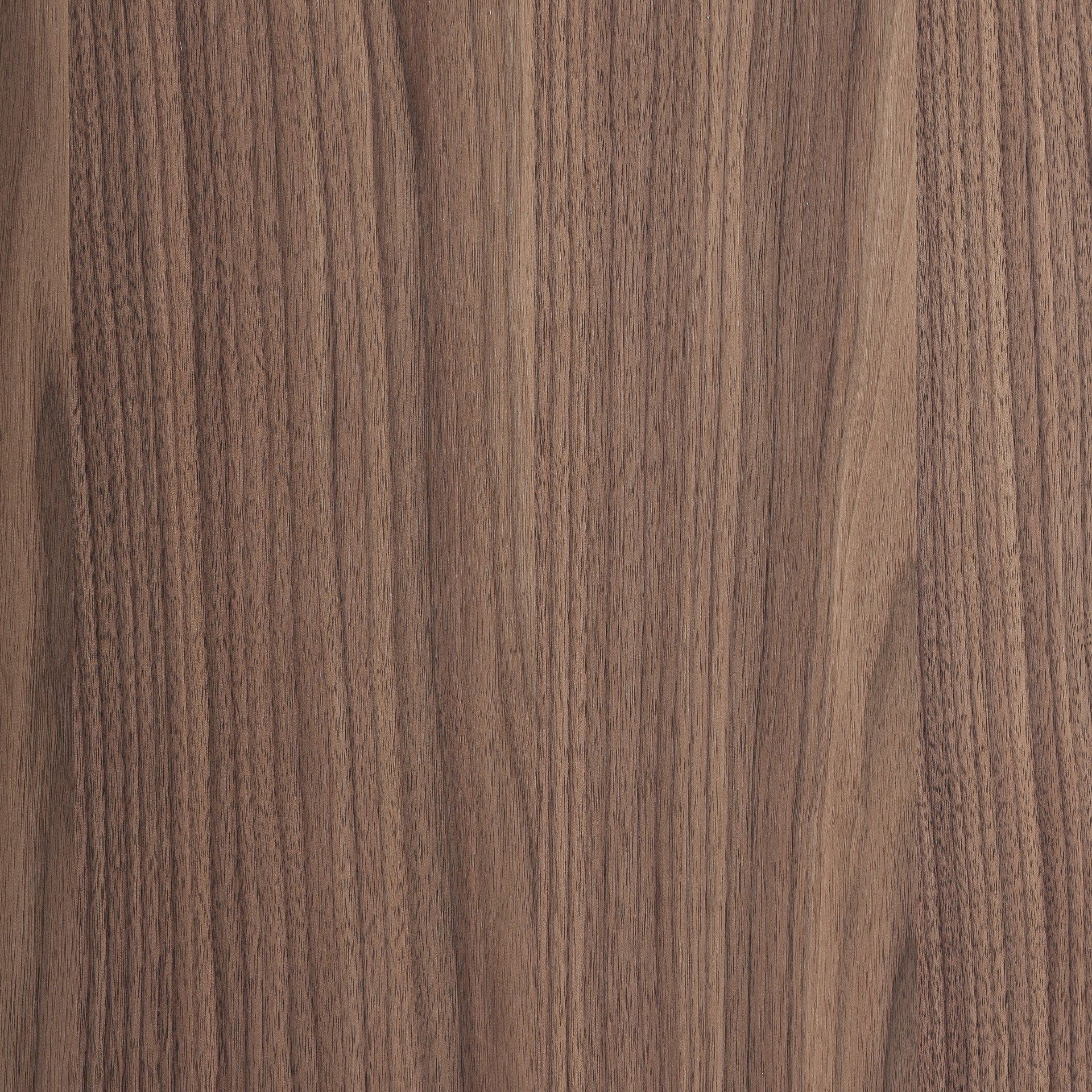 RTV-Szafka KEXBY Nussfurnier