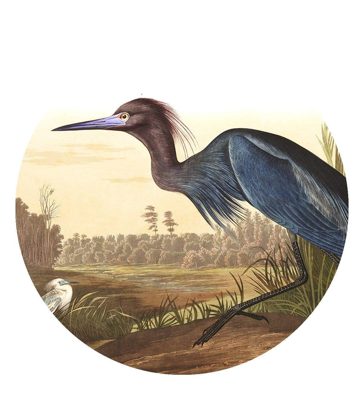 Mural DOTS BIRD GRASS Wallcolors Eye on Design