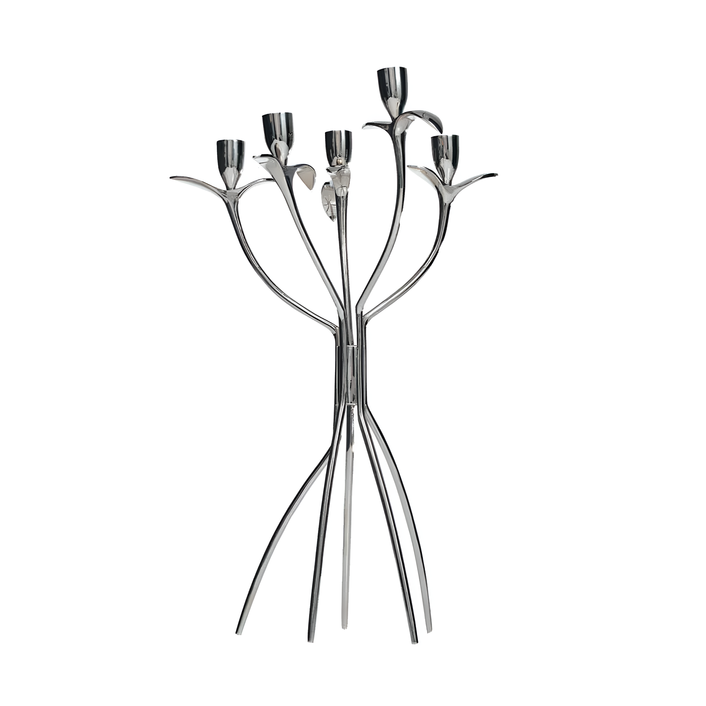 Antonietta Nikiel candlestick