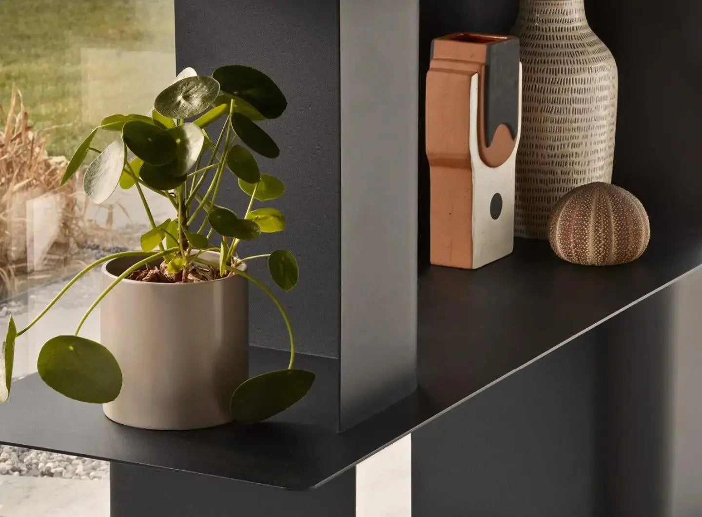 Regał CARV matowy brąz Calligaris Eye on Design