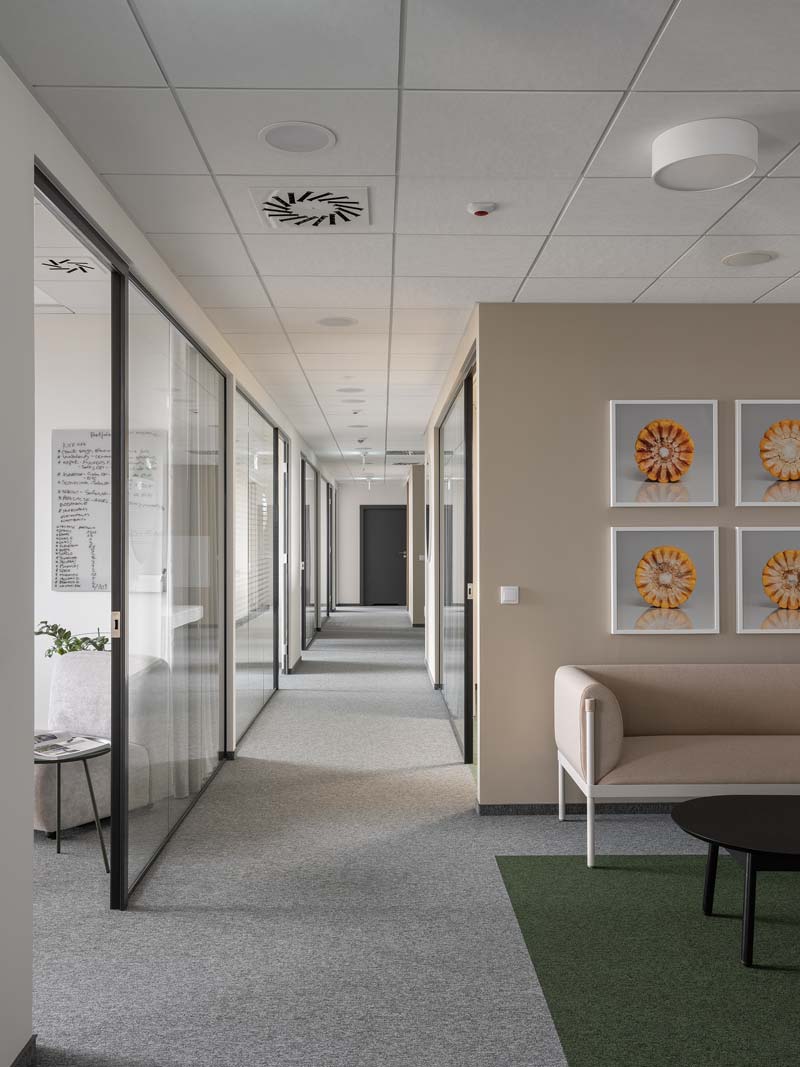 3-Sitzer-Sofa niedrig gepolsterte Stelzen
