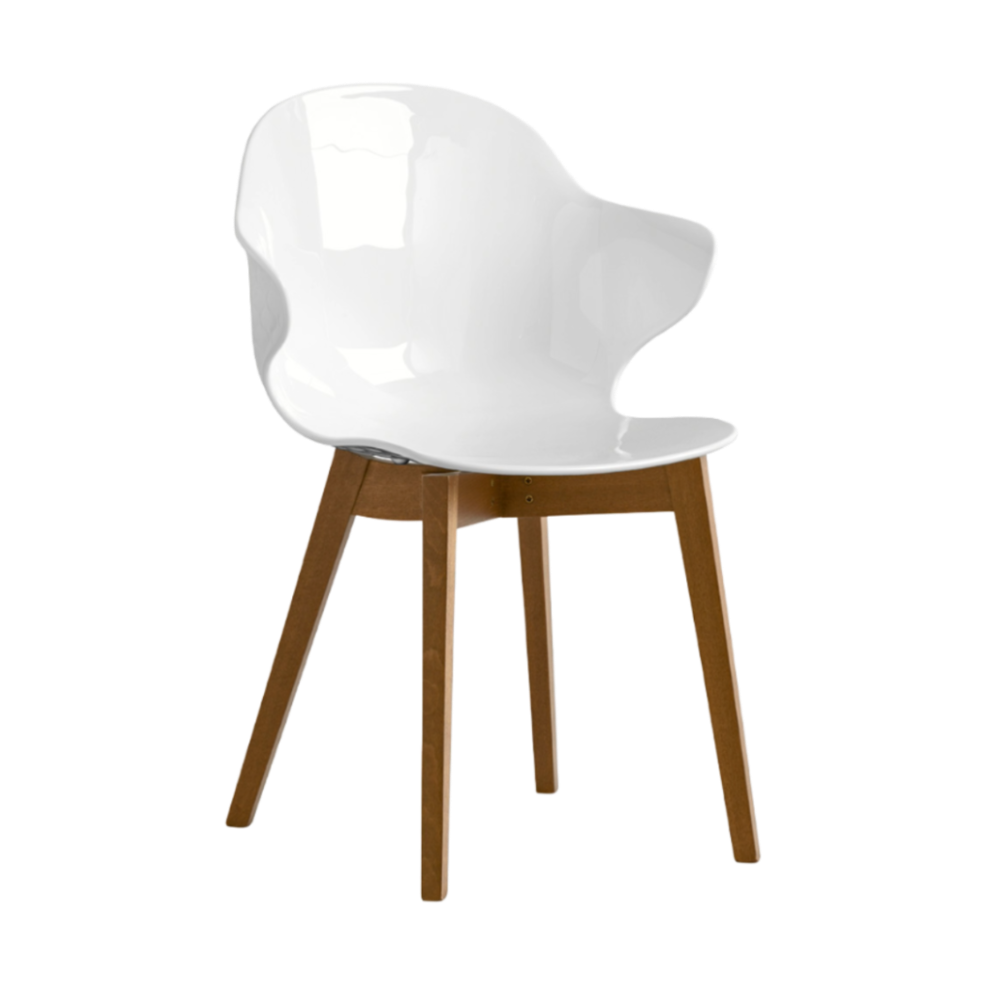 SAINT TROPEZ chair with a white seat and walnut base