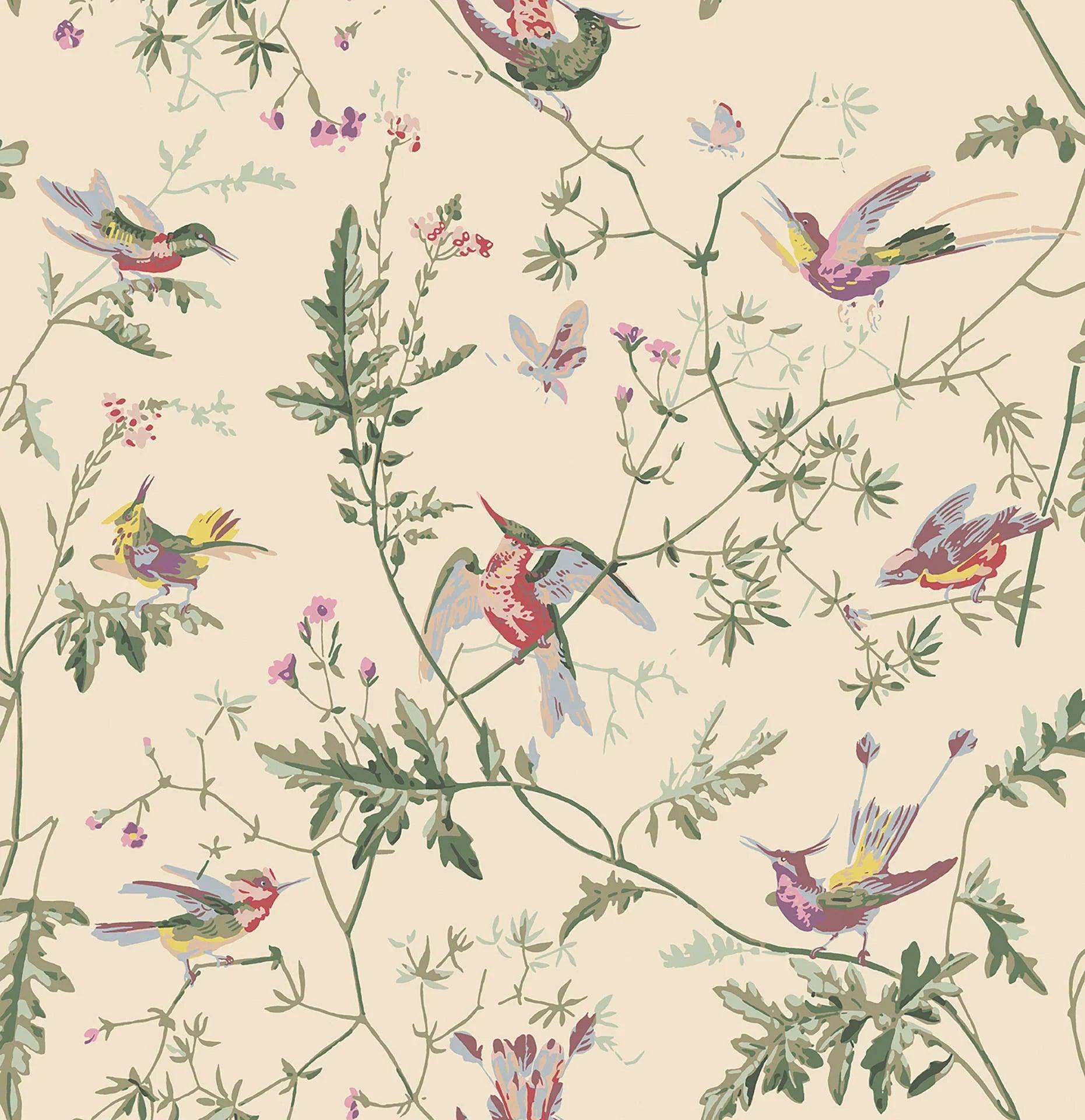 Tapeta ARCHIVE ANTHOLOGY - Hummingbirds oliwkowy na kremowym Cole & Son Eye on Design