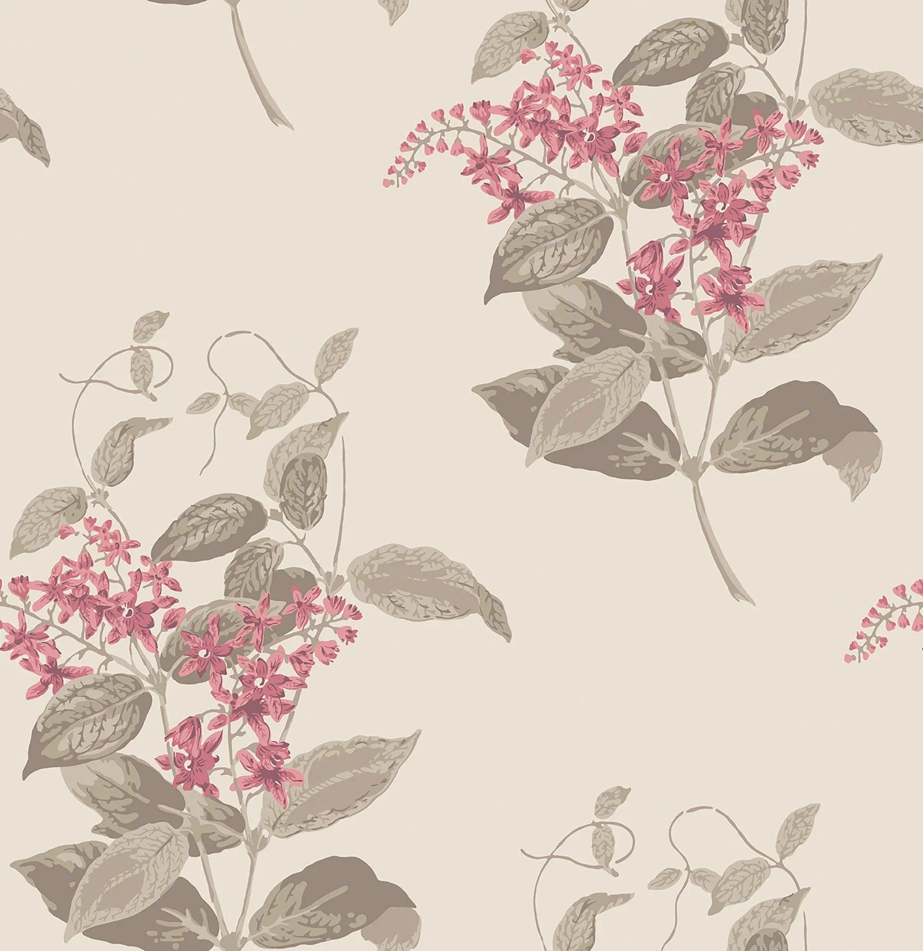 Tapeta ARCHIVE ANTHOLOGY - Madras Violet fuksja na pergaminie Cole & Son Default Title Eye on Design