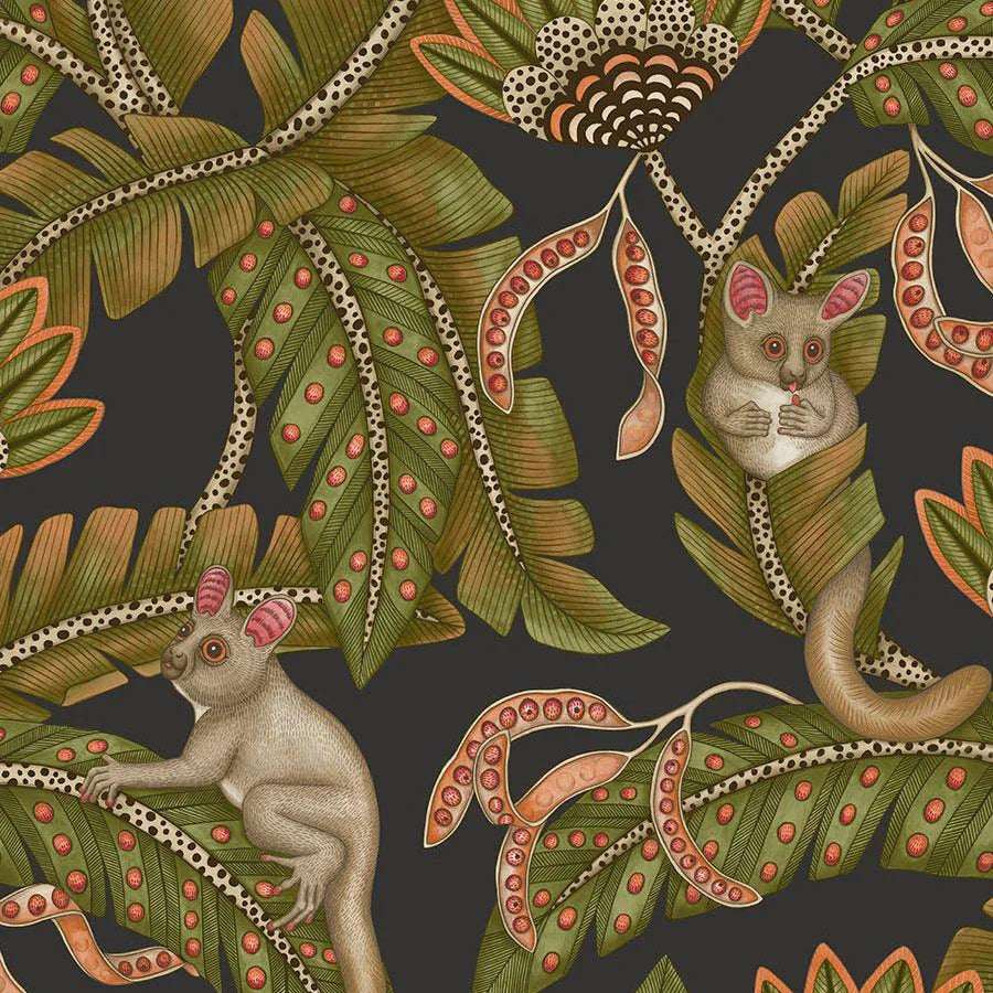 Tapeta ARDMORE JABULA - Bush Baby zieleń na czarnym Cole & Son Default Title Eye on Design